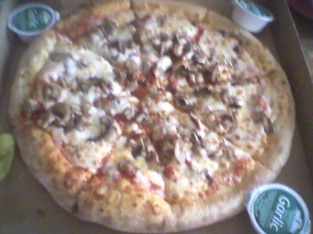 Papa Johns Pizza