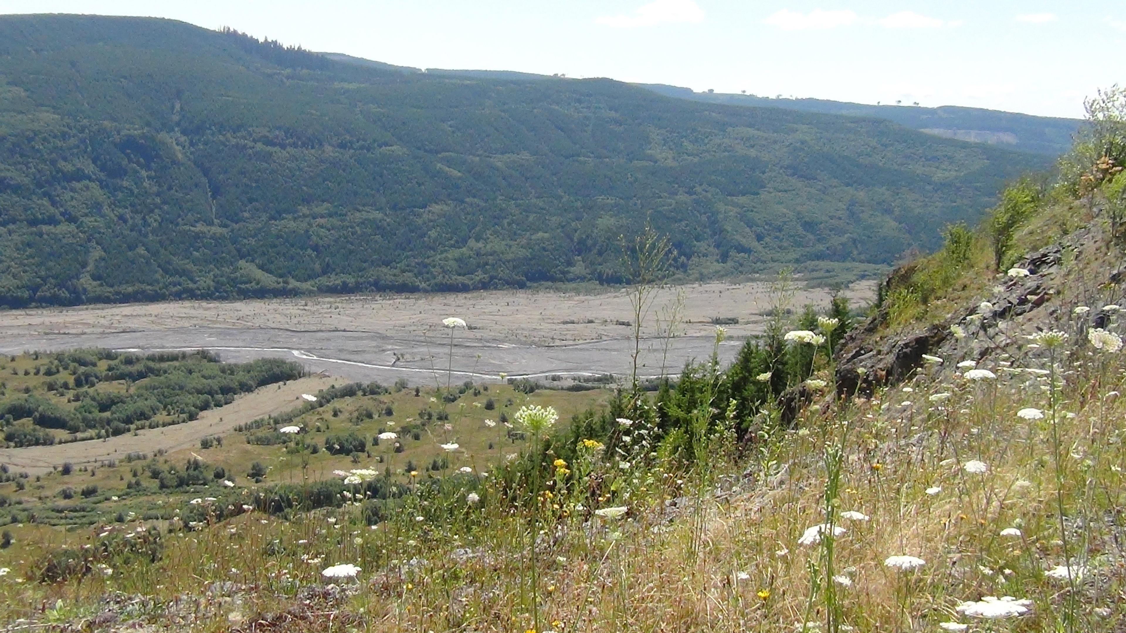 Toutle River