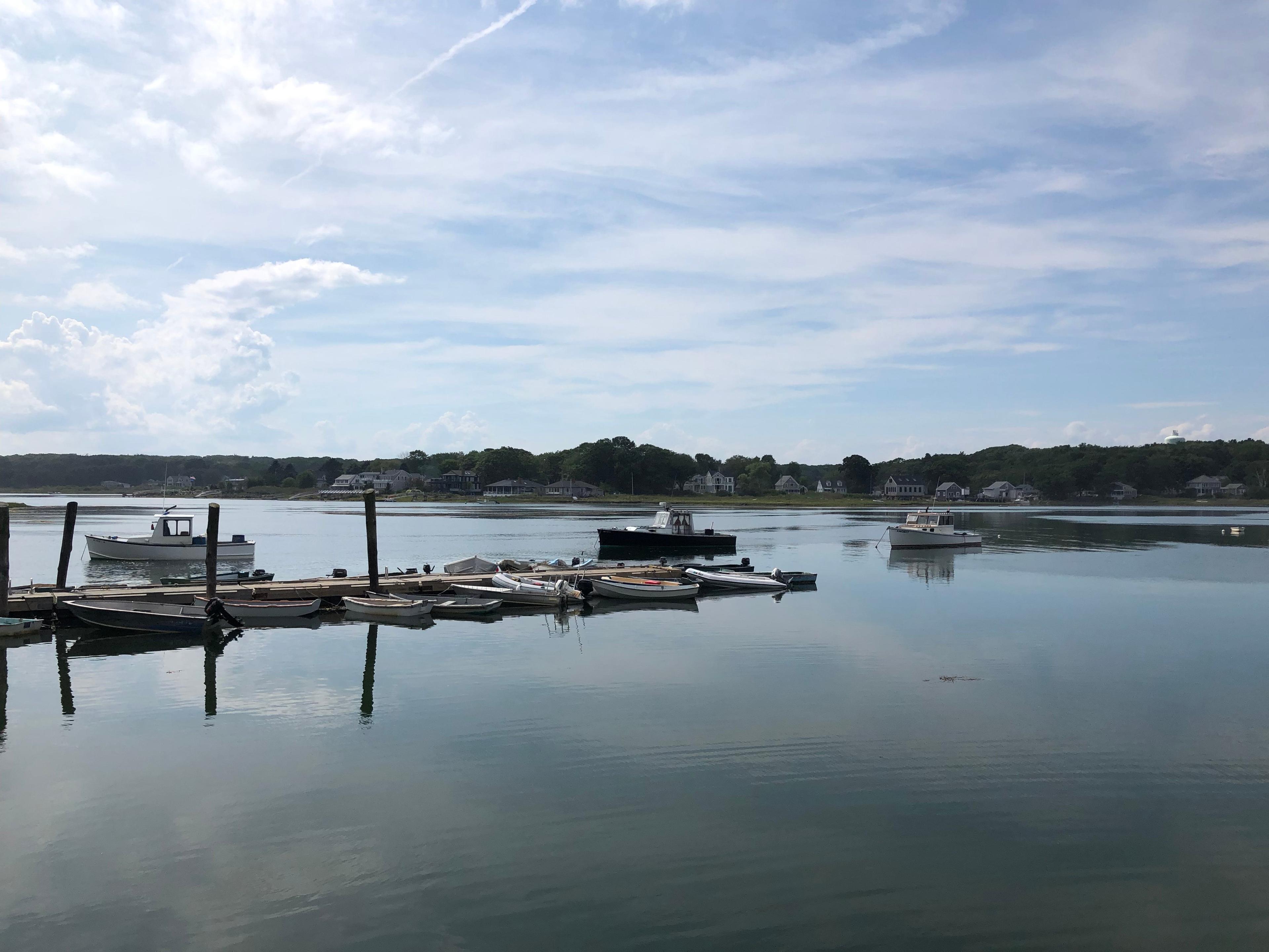 Cape Porpoise Lobster