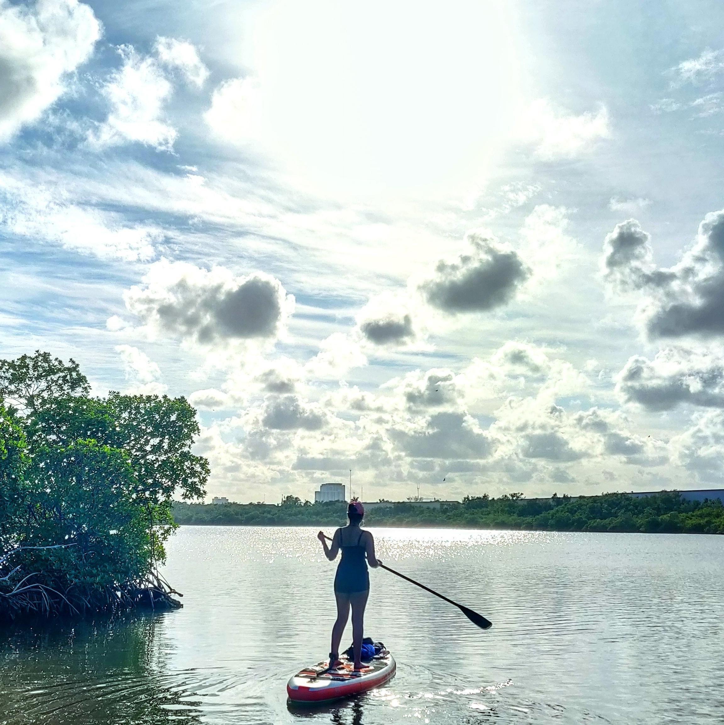 Paddleboard Experiences