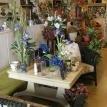 Hatler Florist & Gift Gallery