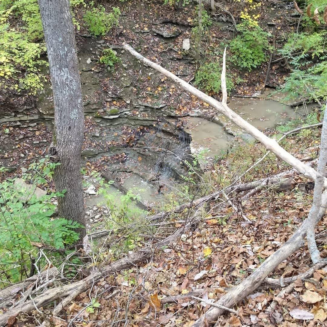 The Narrows Reserve Nature Center