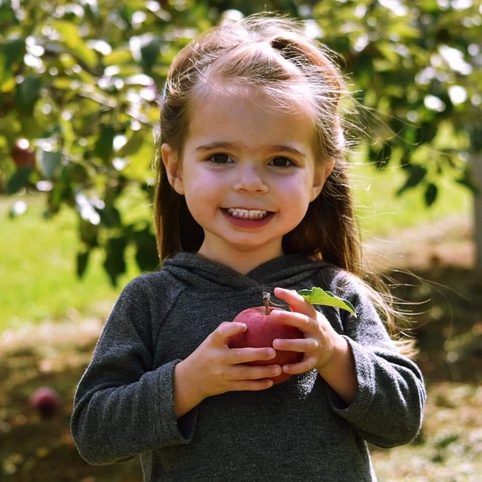 Stedl's Maribel Orchard