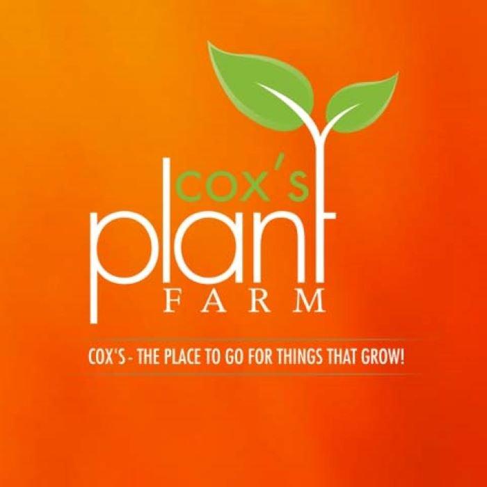 Cox's Plant Farm