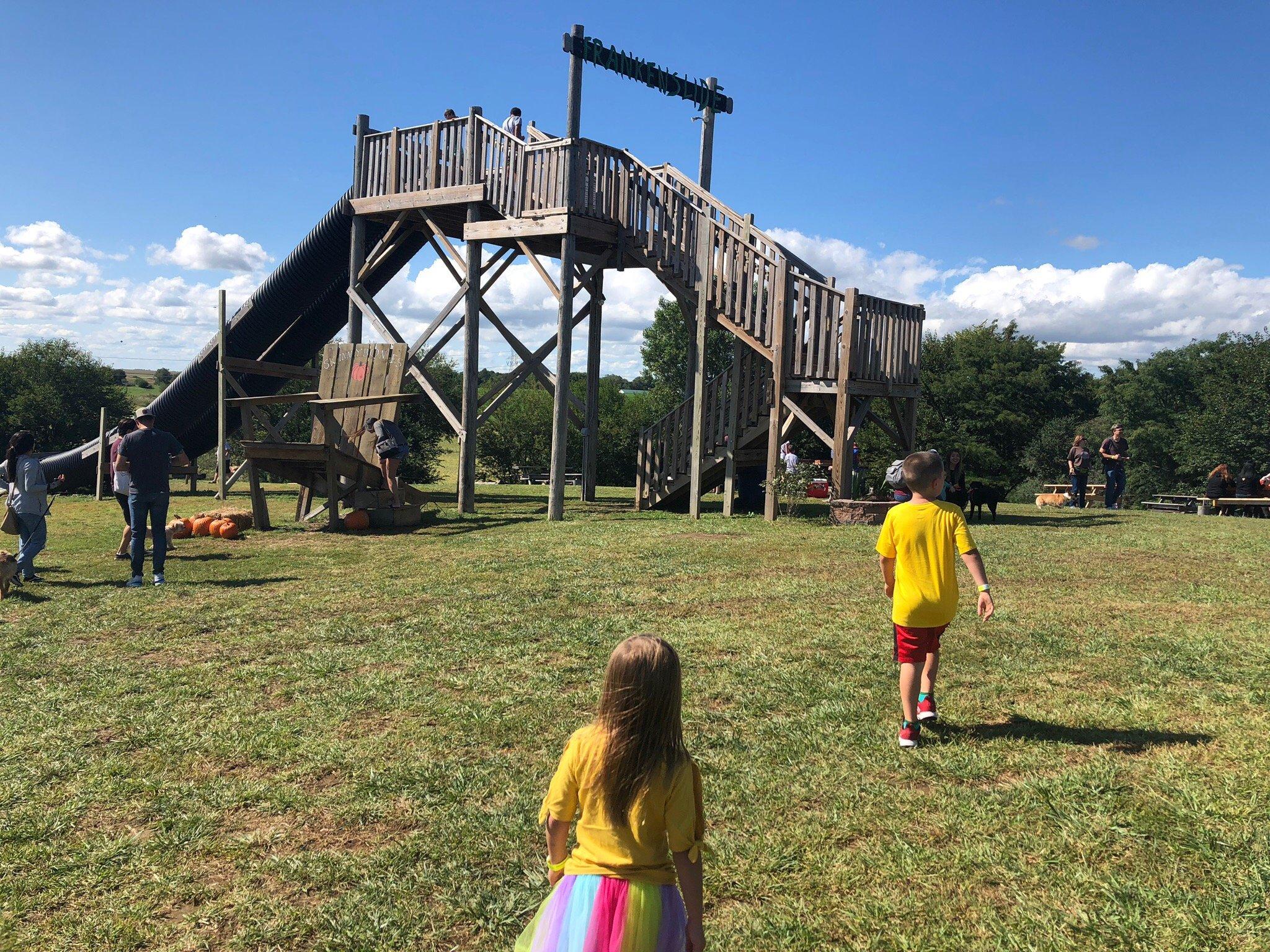 Skinny Bones Pumpkin Patch