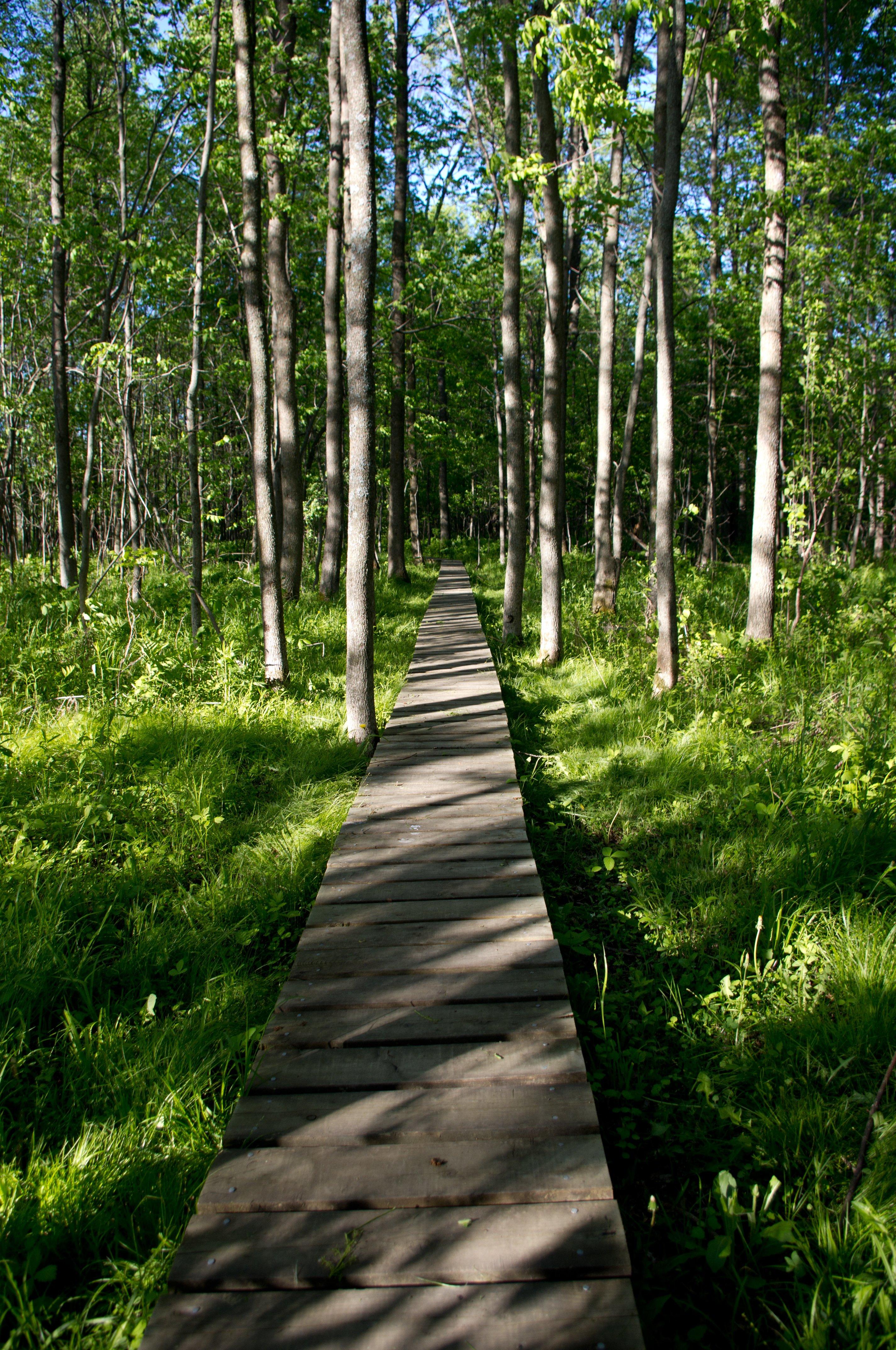 Reserve Nationale De Faune Du Lac-Saint-Francois