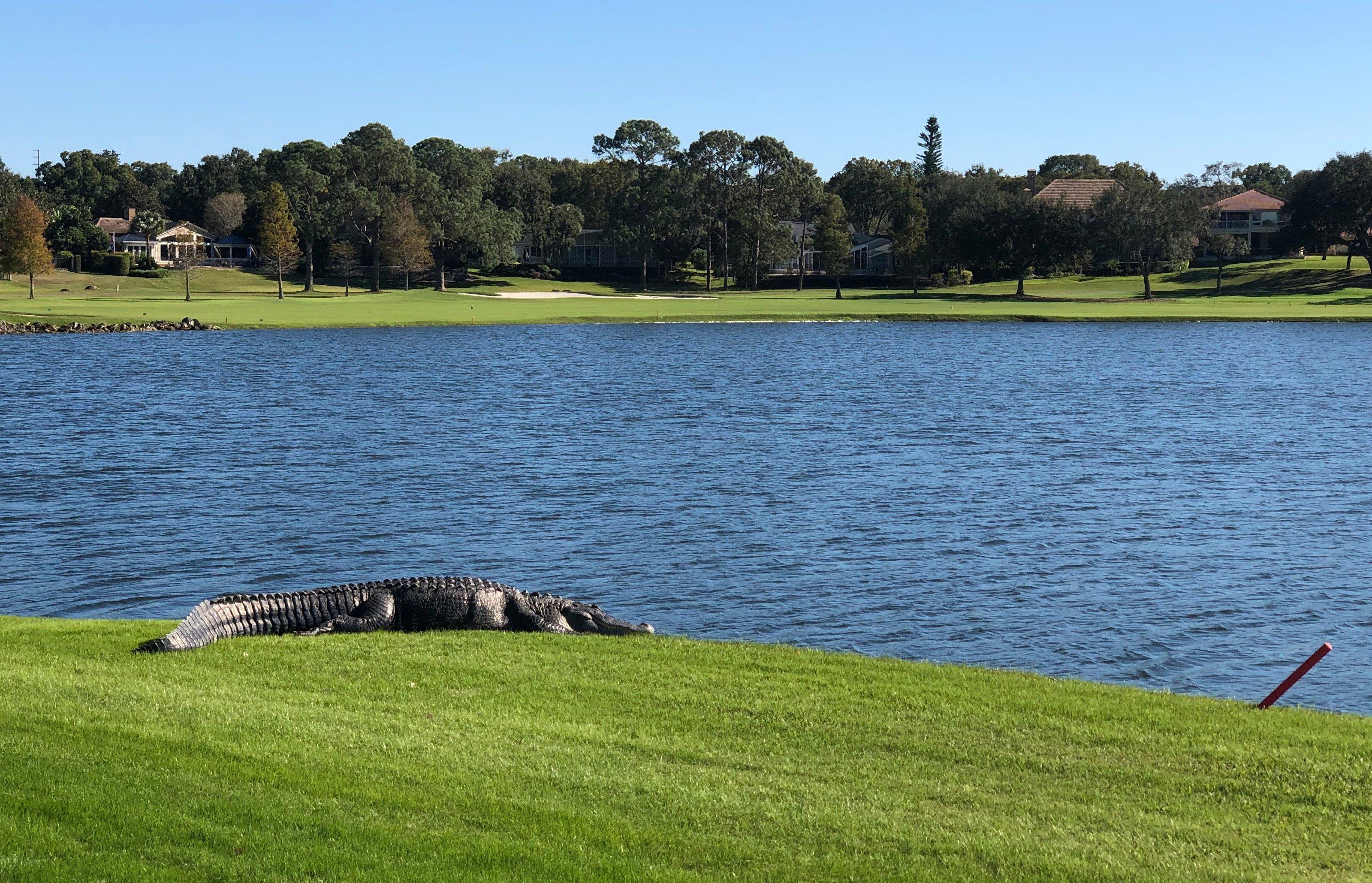 Bay Hill Club & Lodge