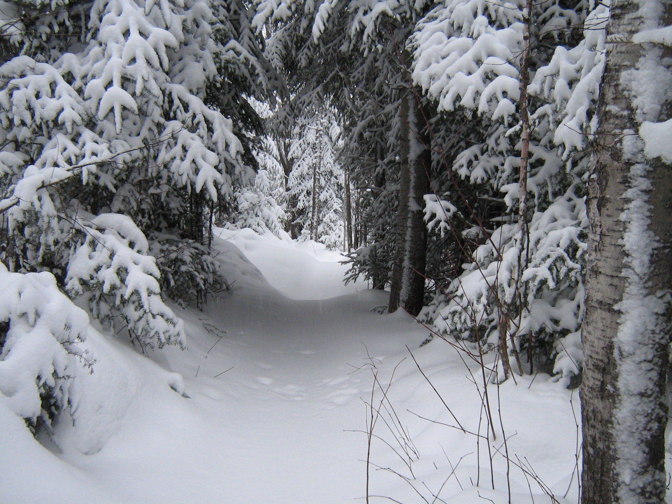 Club de ski de fond Le Norvégien