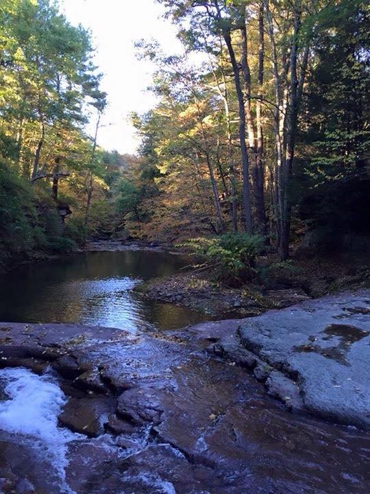 McGrath's Edgewood Falls