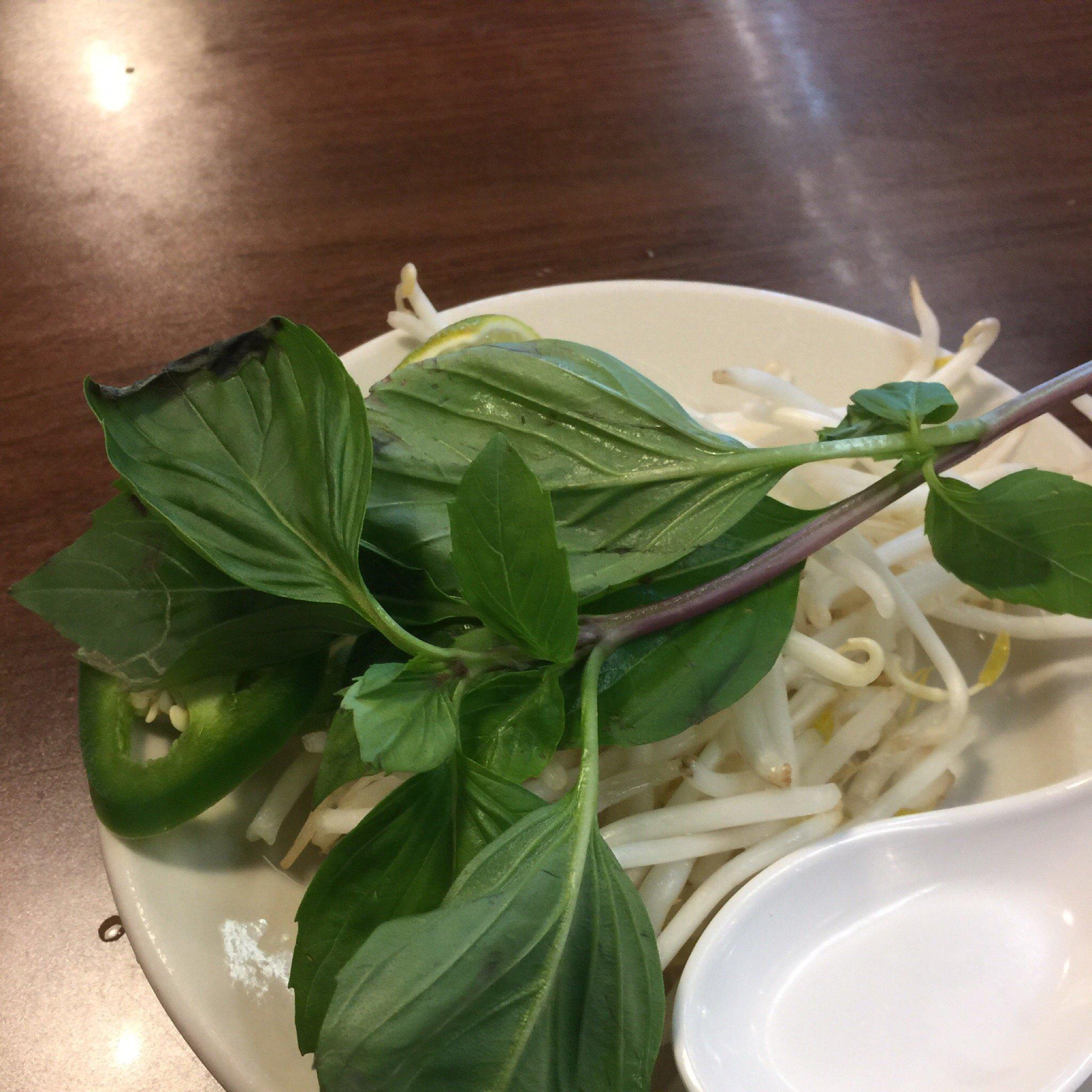 Yummy Pho Vietnamese Restaurant