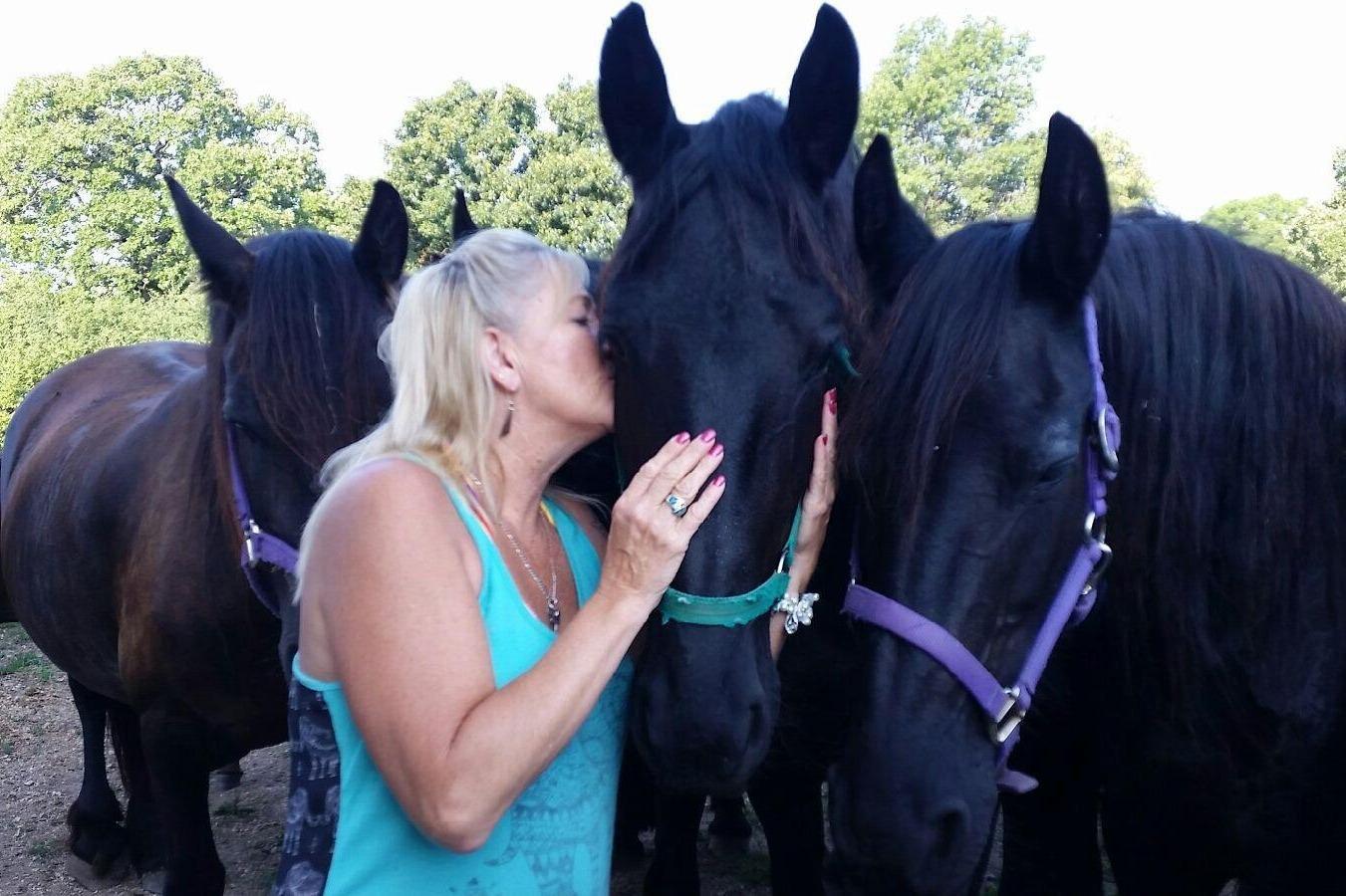 Friesian Herd Experiences