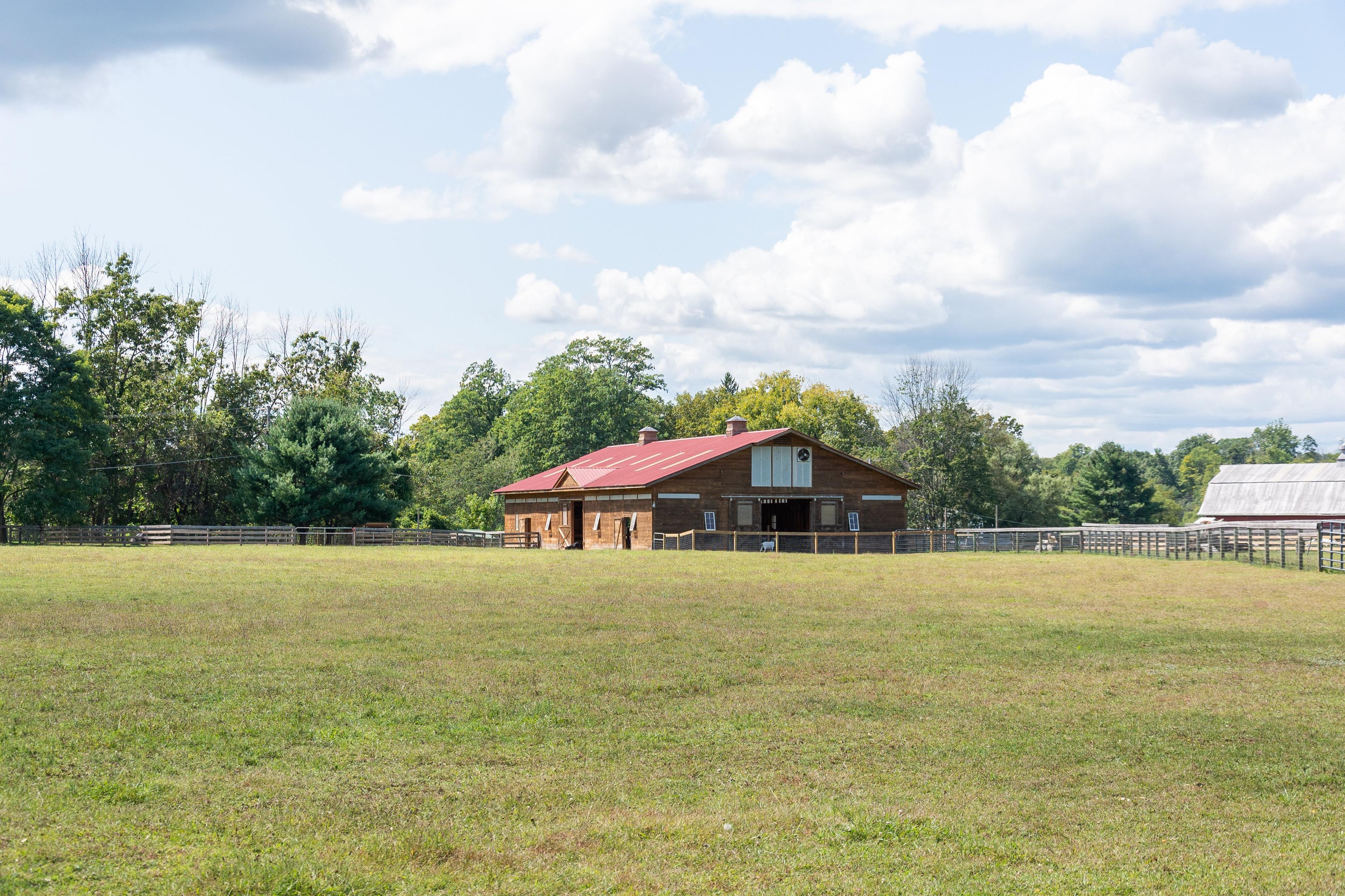 Woodstock Farm Sanctuary