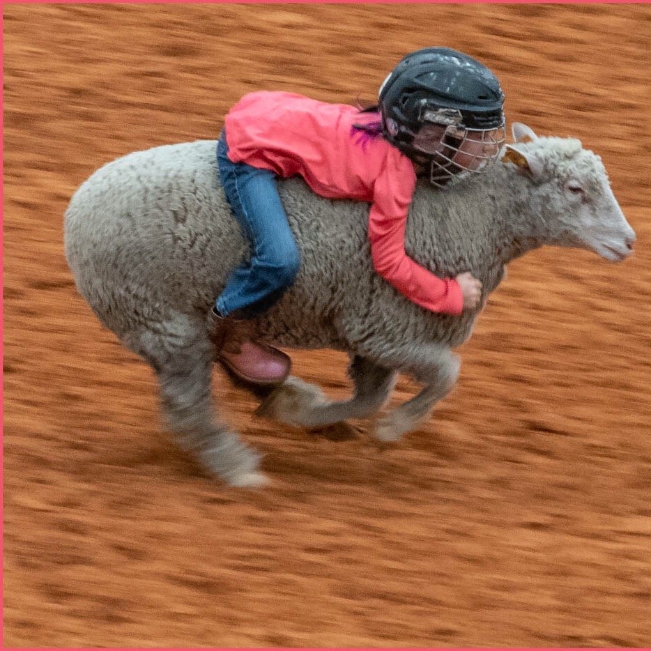 Arcadia All-Florida Championship Rodeo