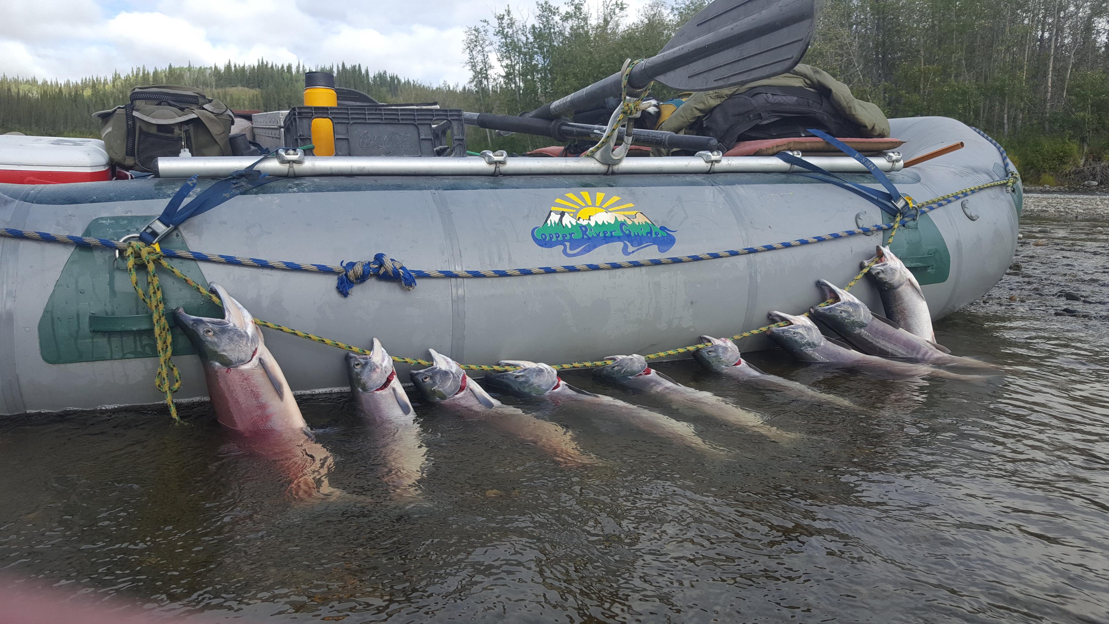 Copper River Guides