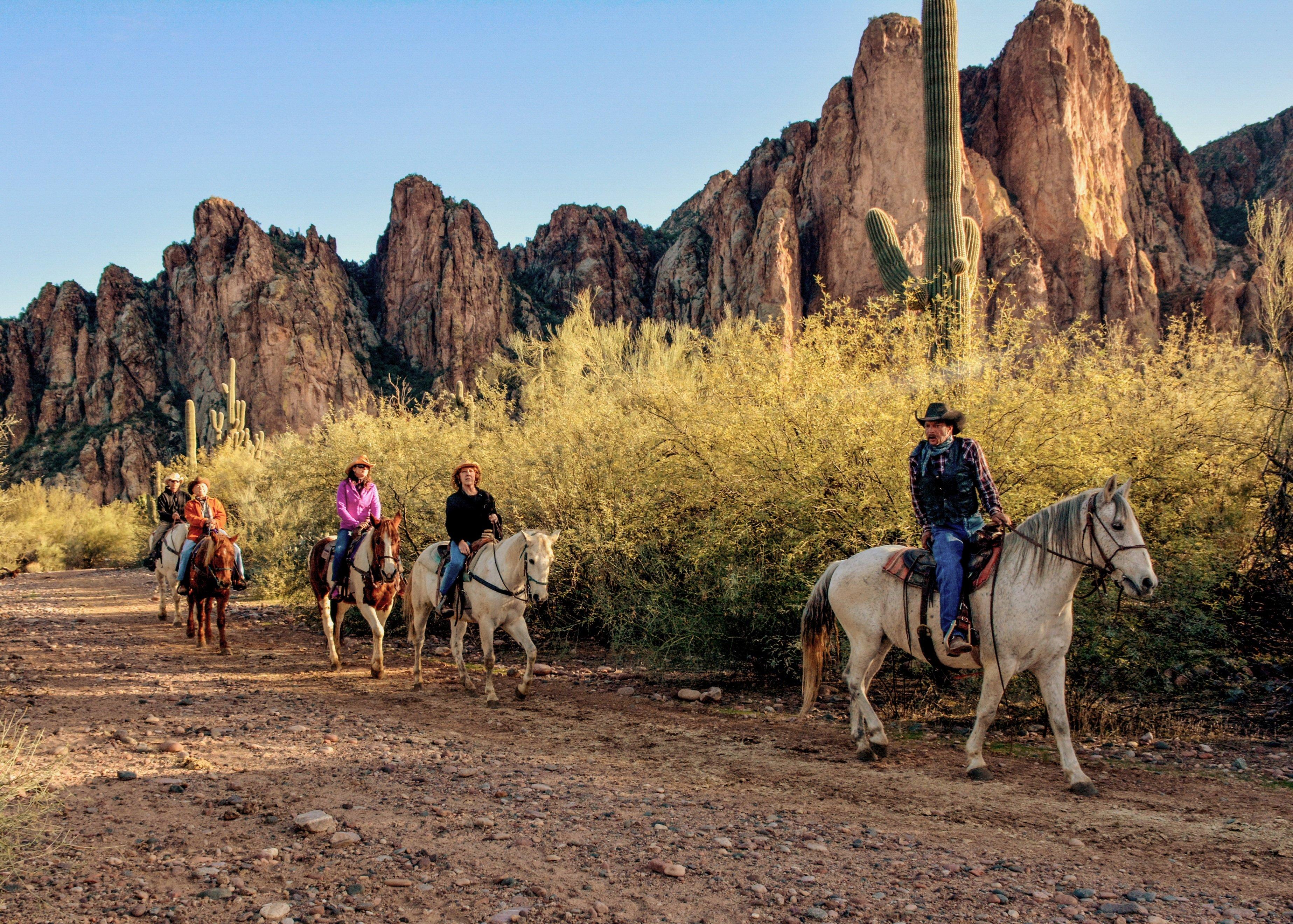 Saguaro Lake Ranch Stable