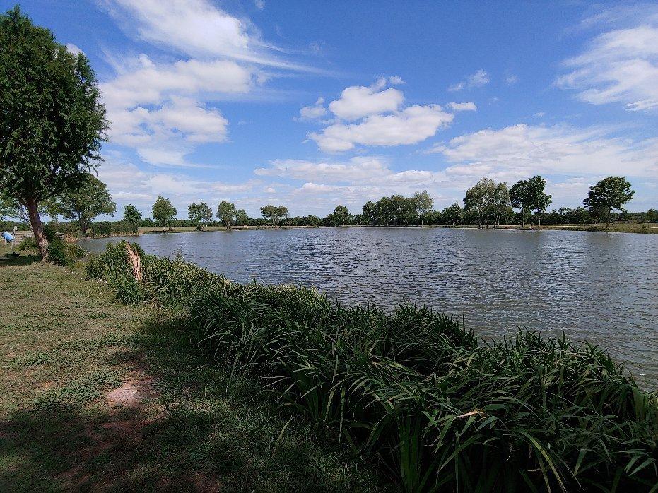 Seabourne creek nature