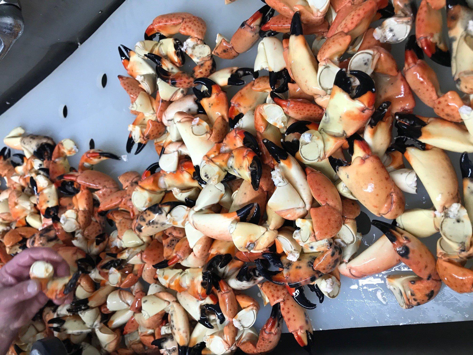 Captain Anthony's Stone Crab Store