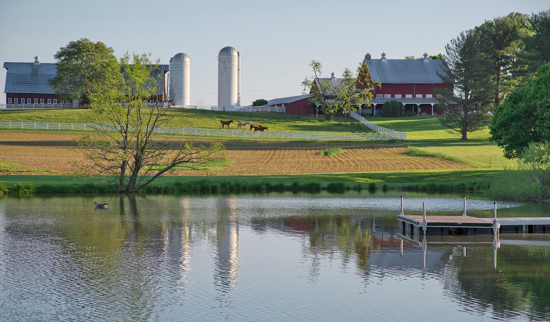 tusculum farm enterprises