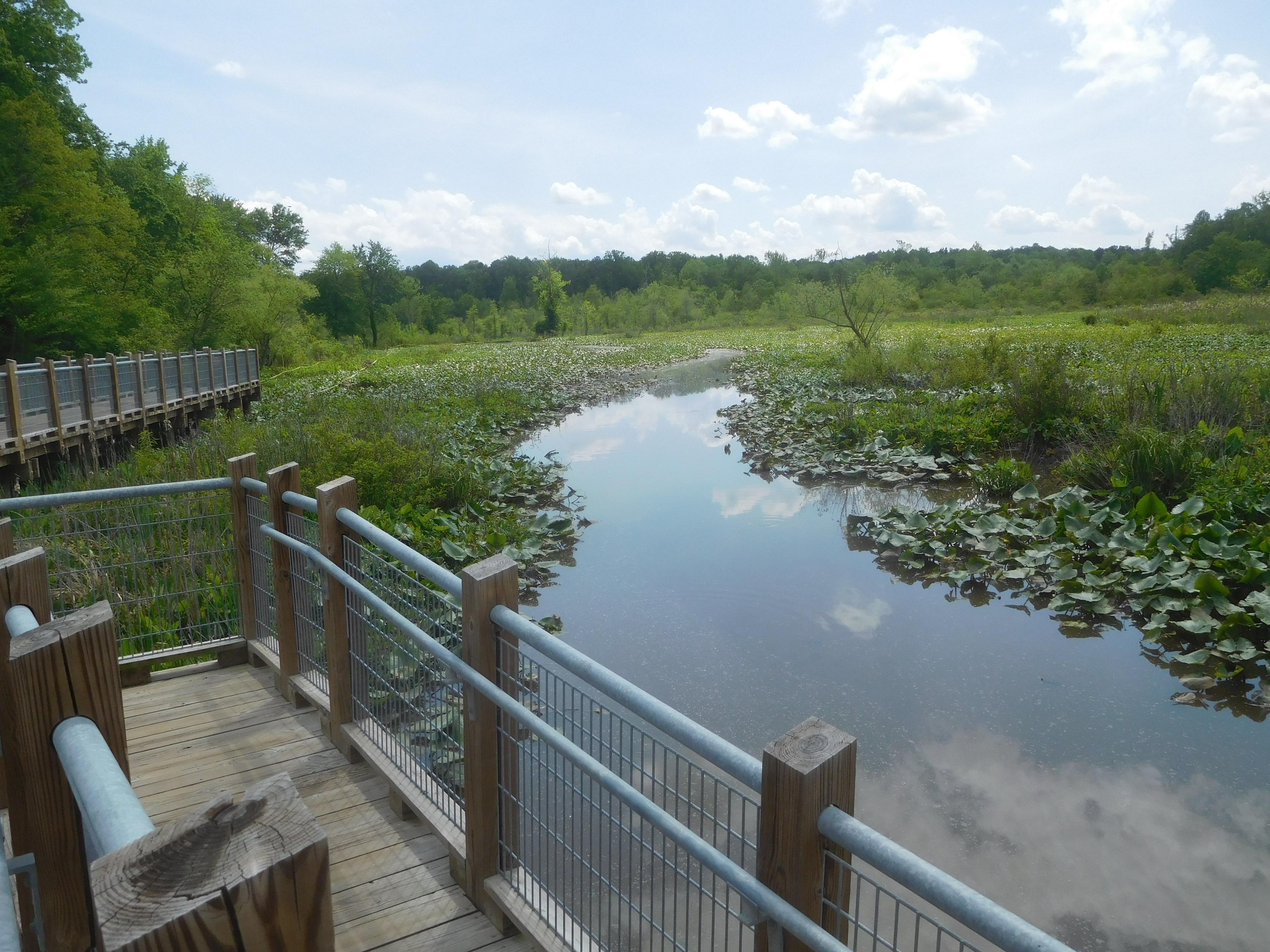 Tuckahoe Creek Park