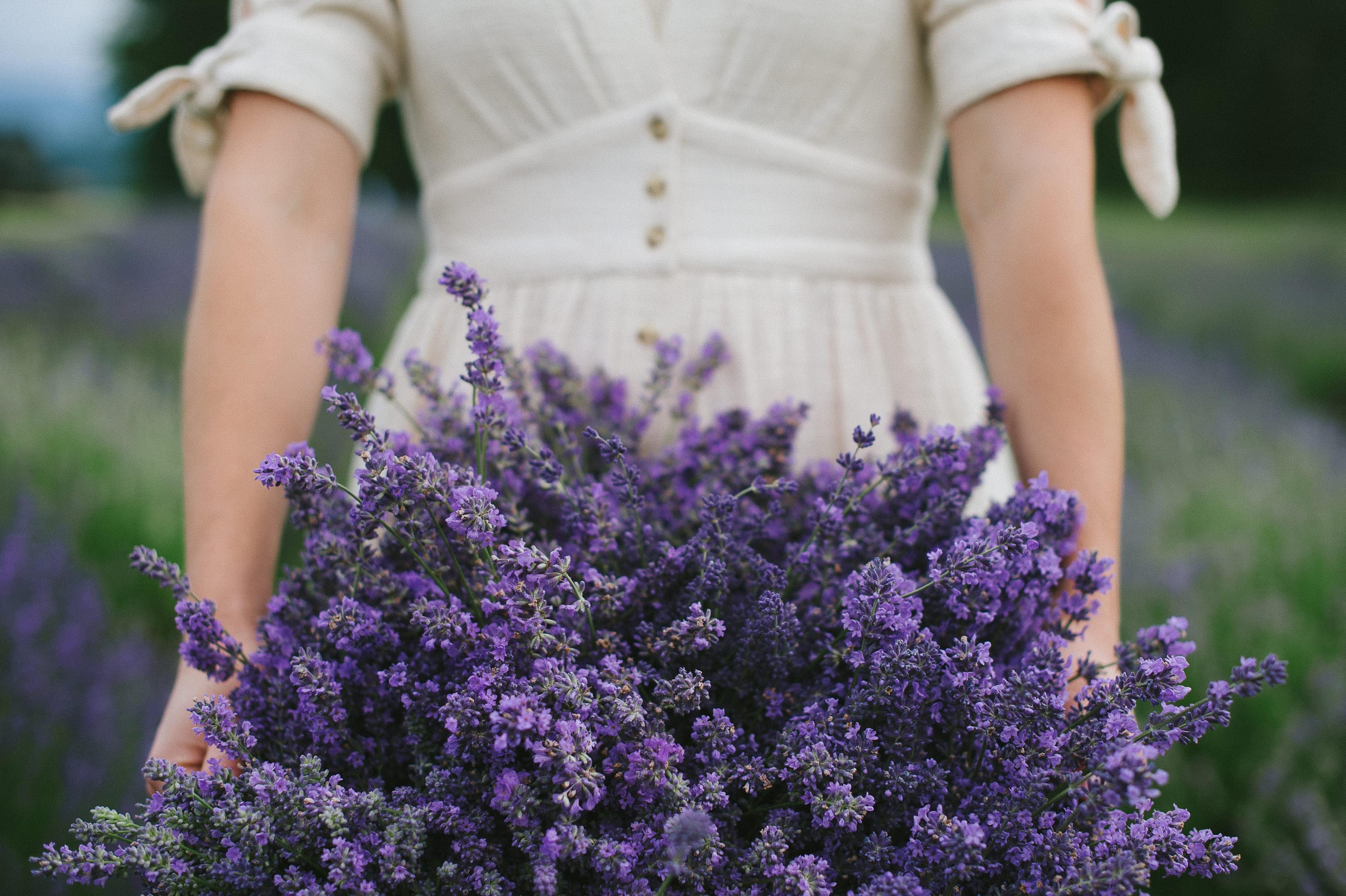 Tuscan Farm Gardens