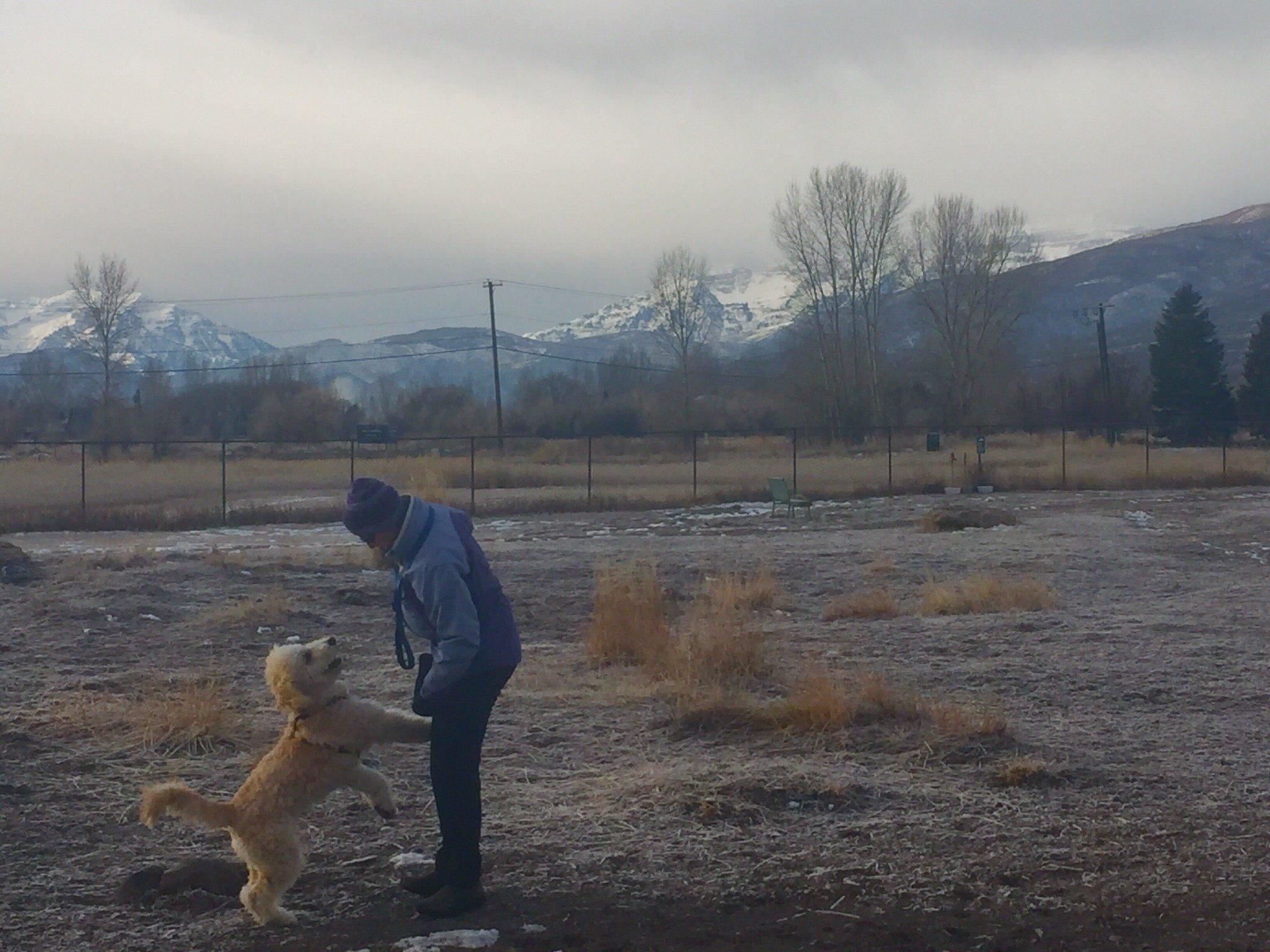 Midway City Dog Park