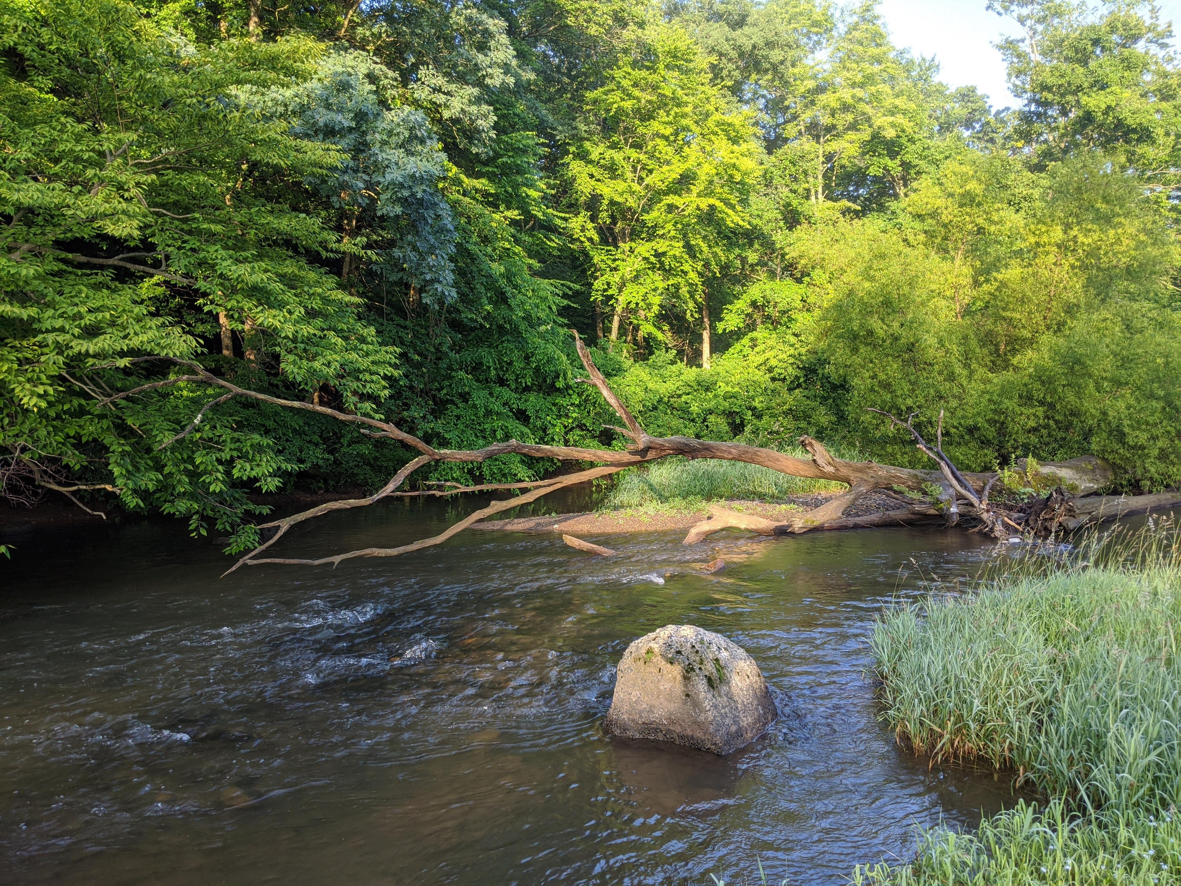 Lizard Creek Campground