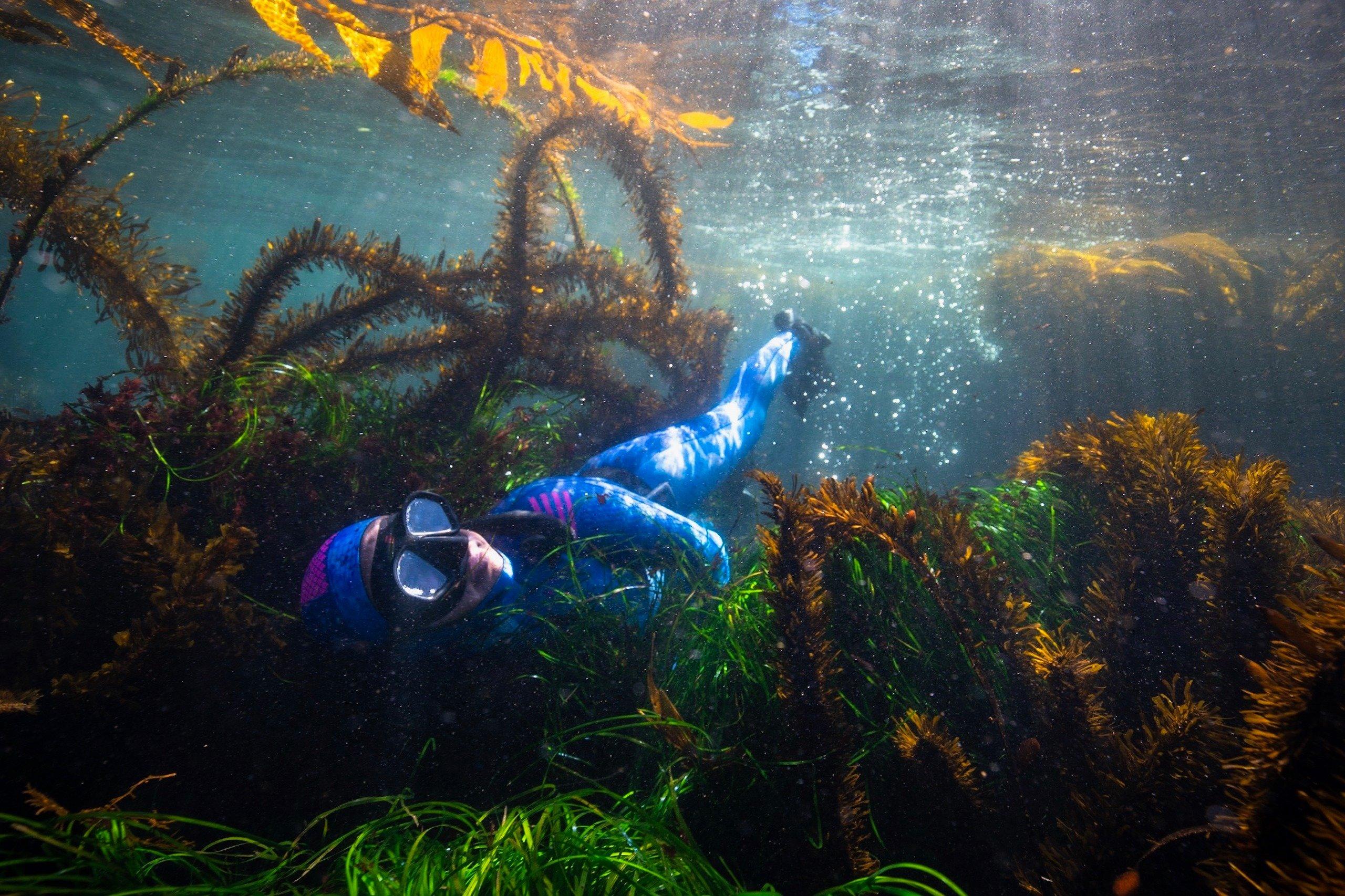 MBAY Freediving