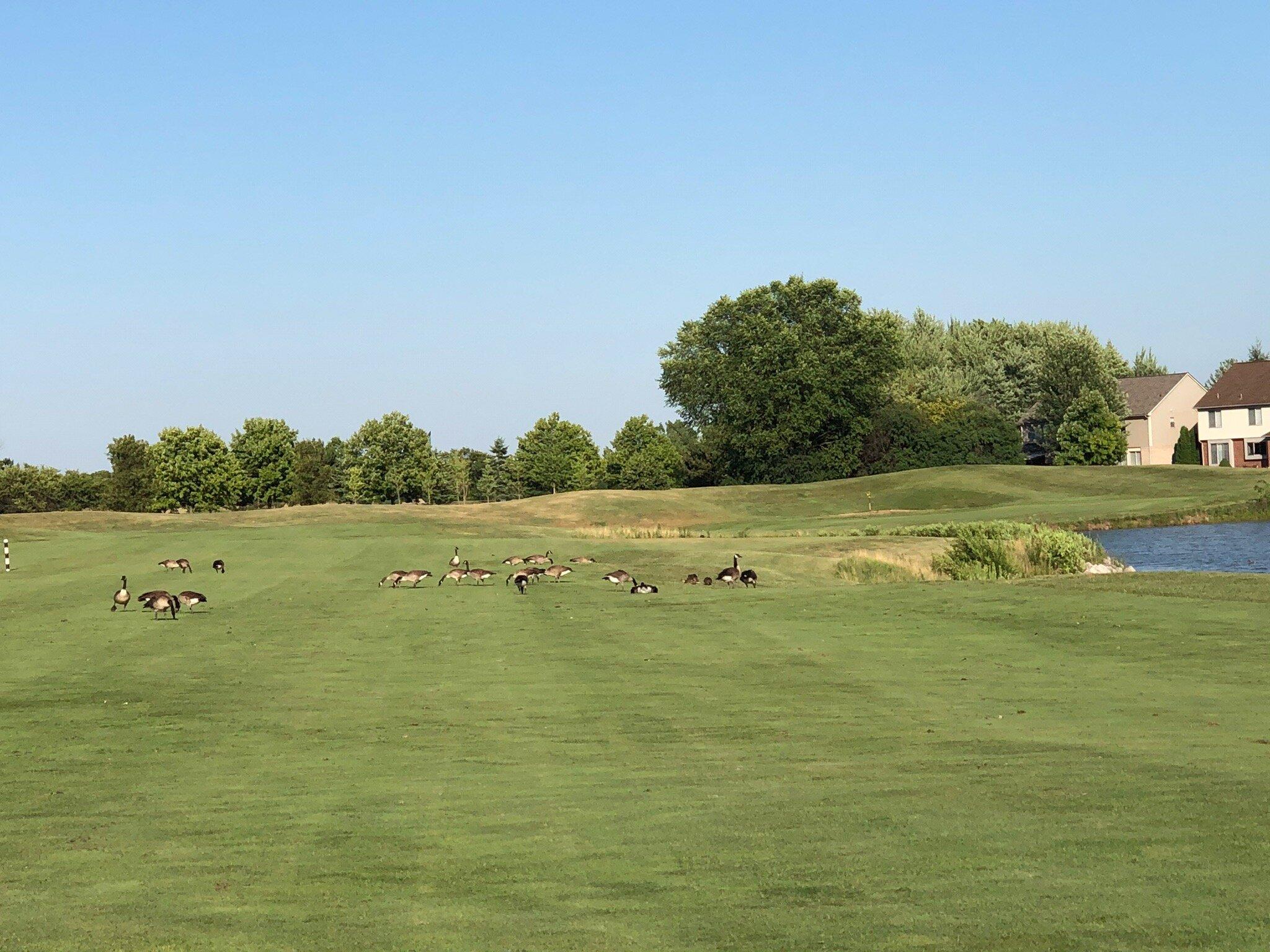 Pheasant Run Golf Club