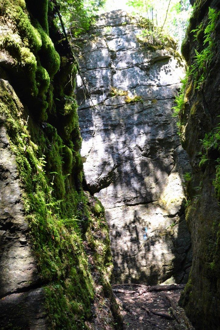 Nottawasaga Lookout Provincial Nature Reserve