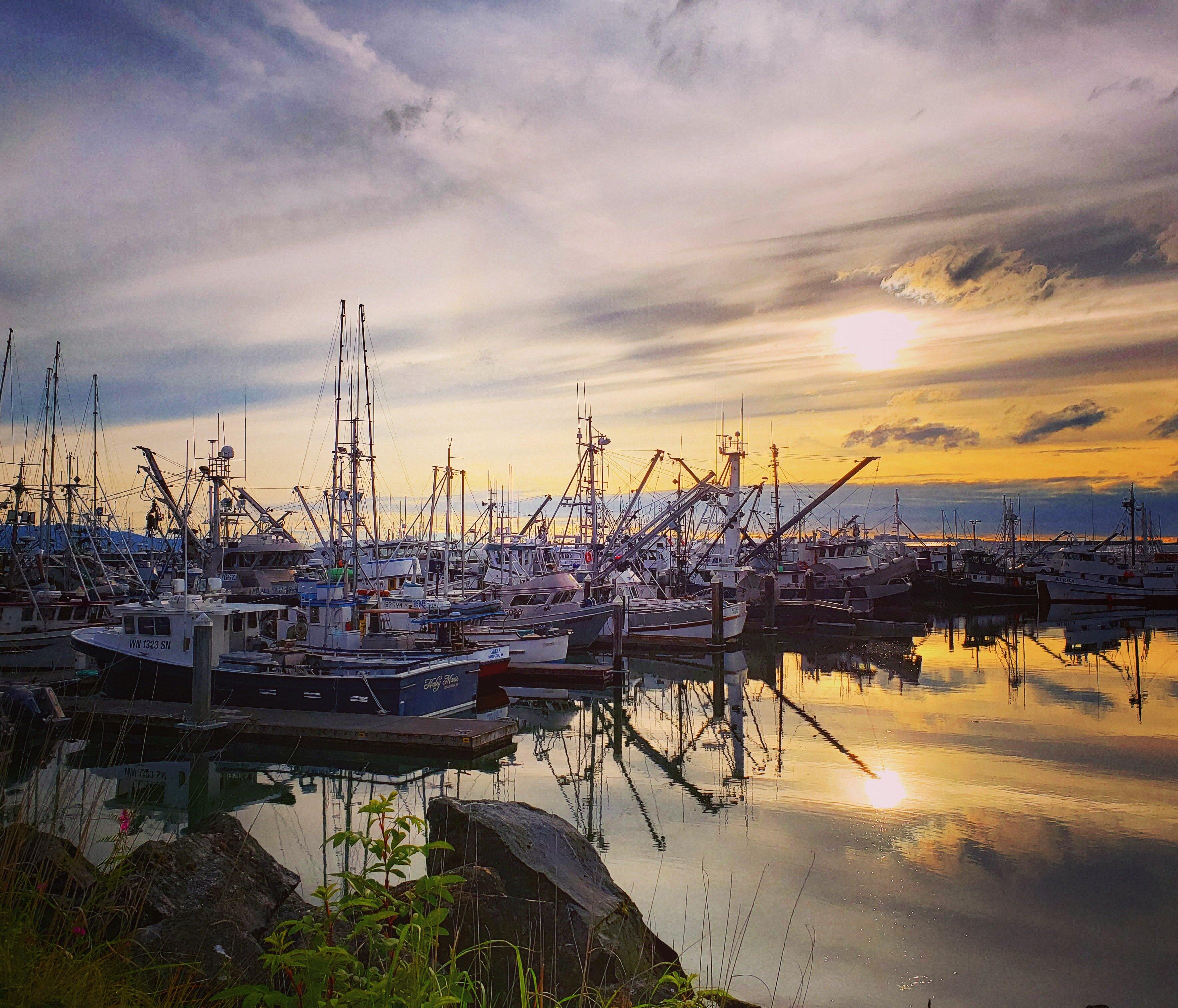 Photo by VisitBellingham