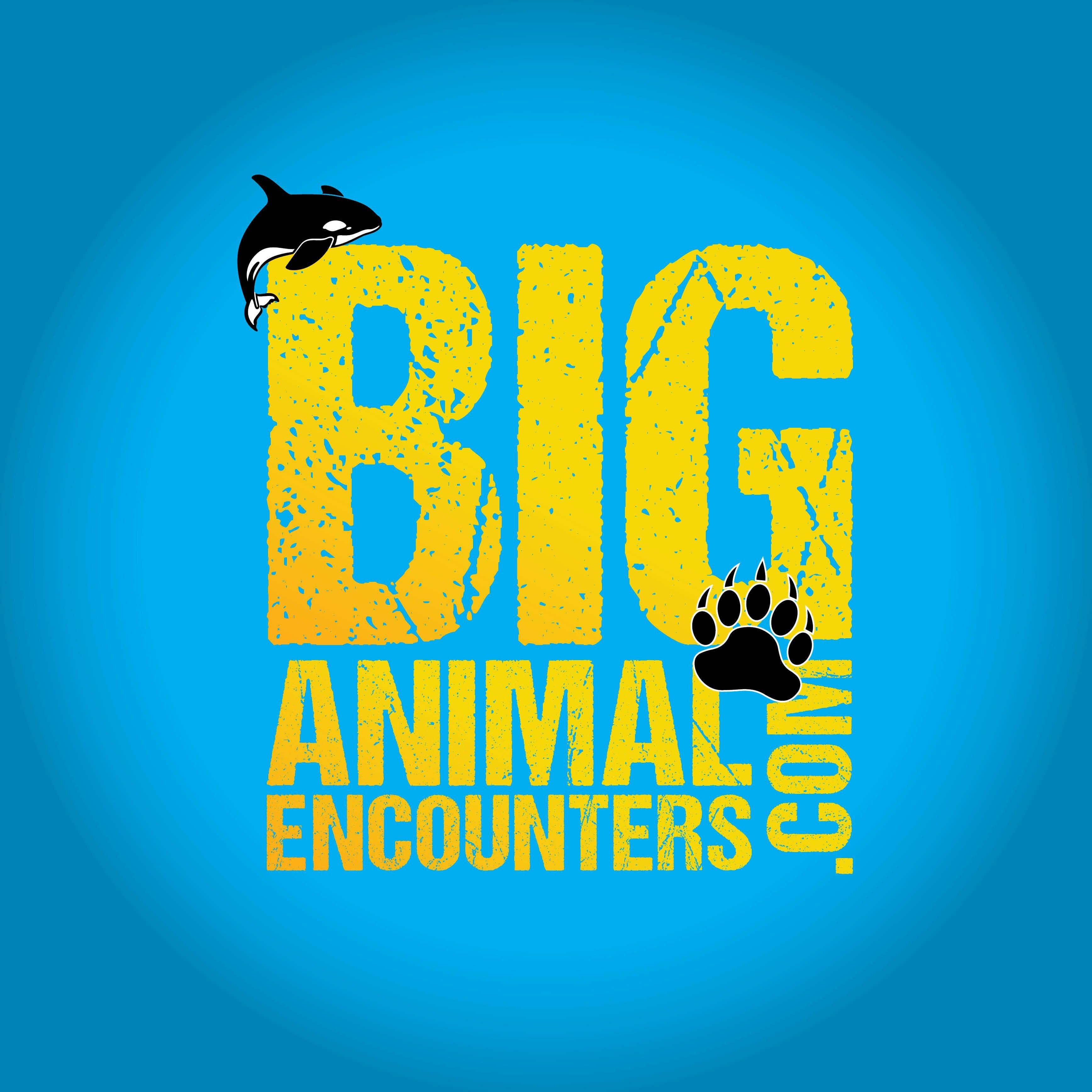 Big Animal Encounters