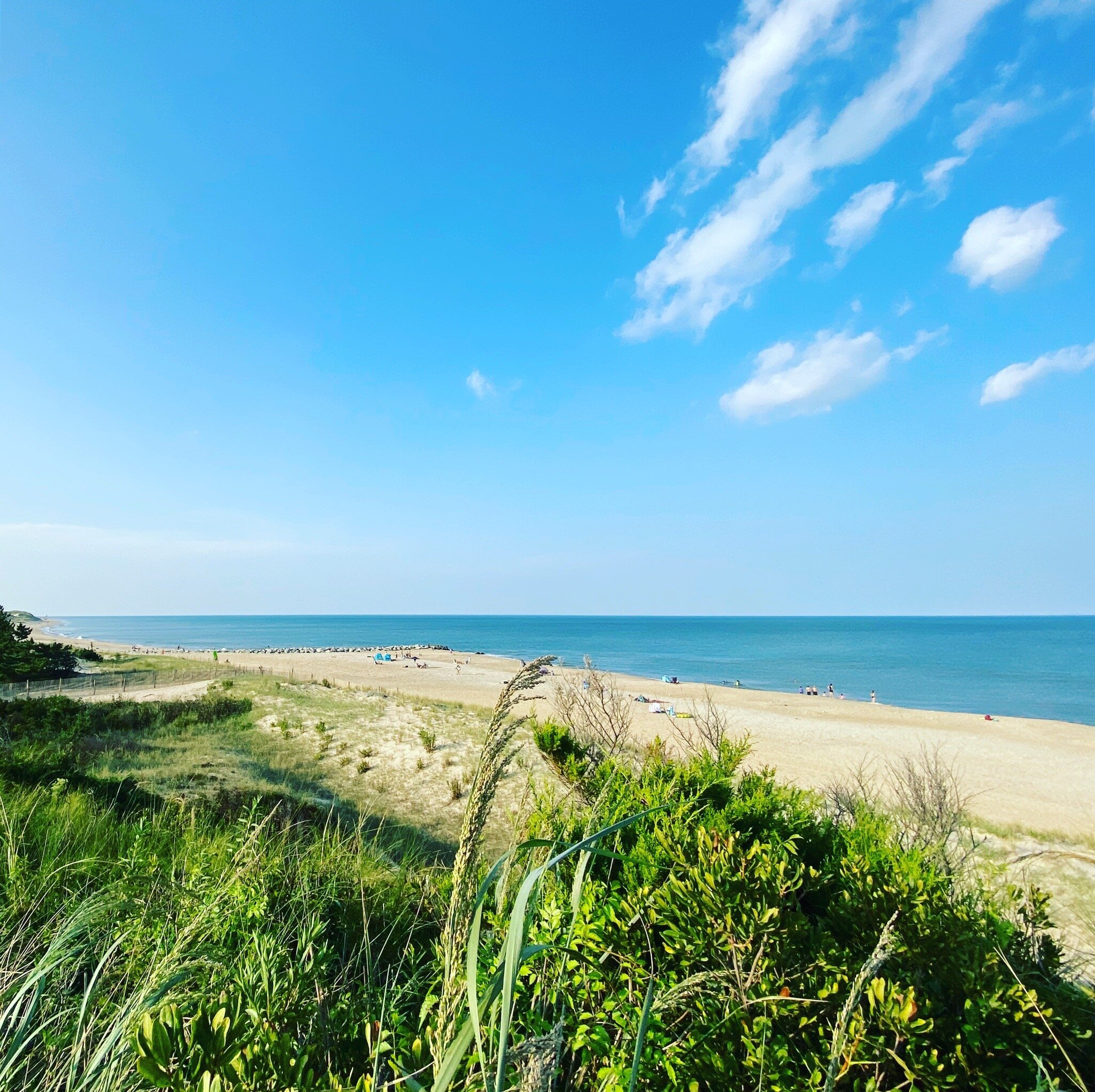 Cape Henlopen State Park