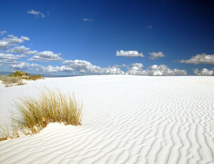 White Sands Trading Company