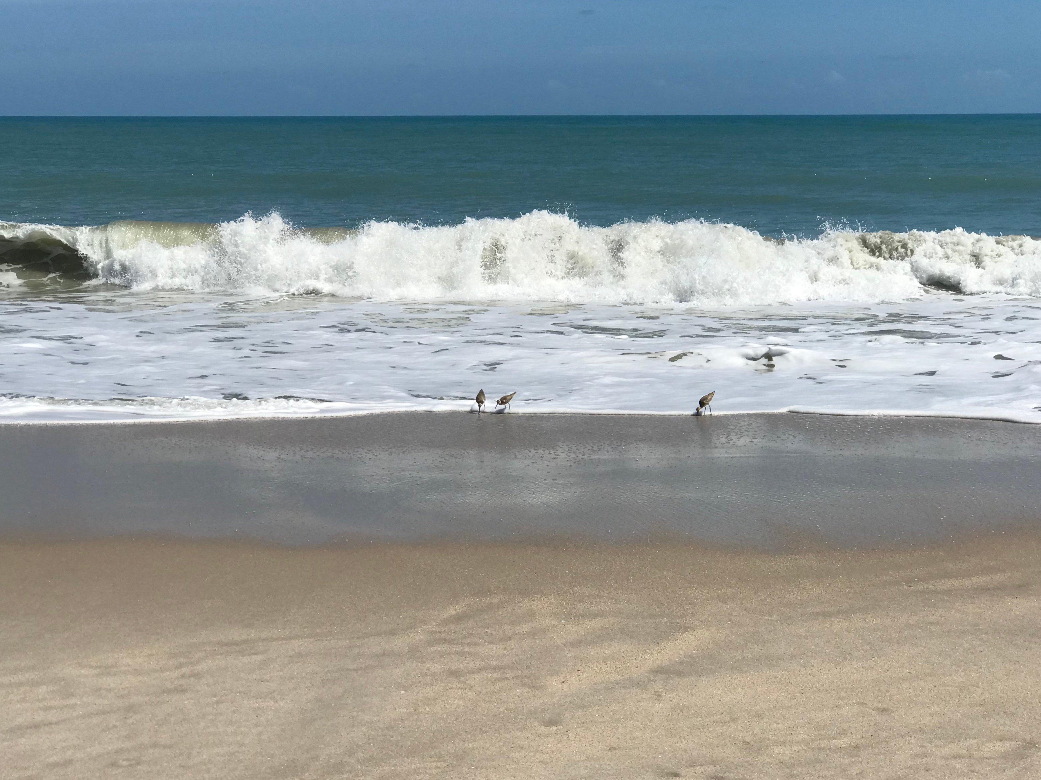 Turtle Trail Beach Access