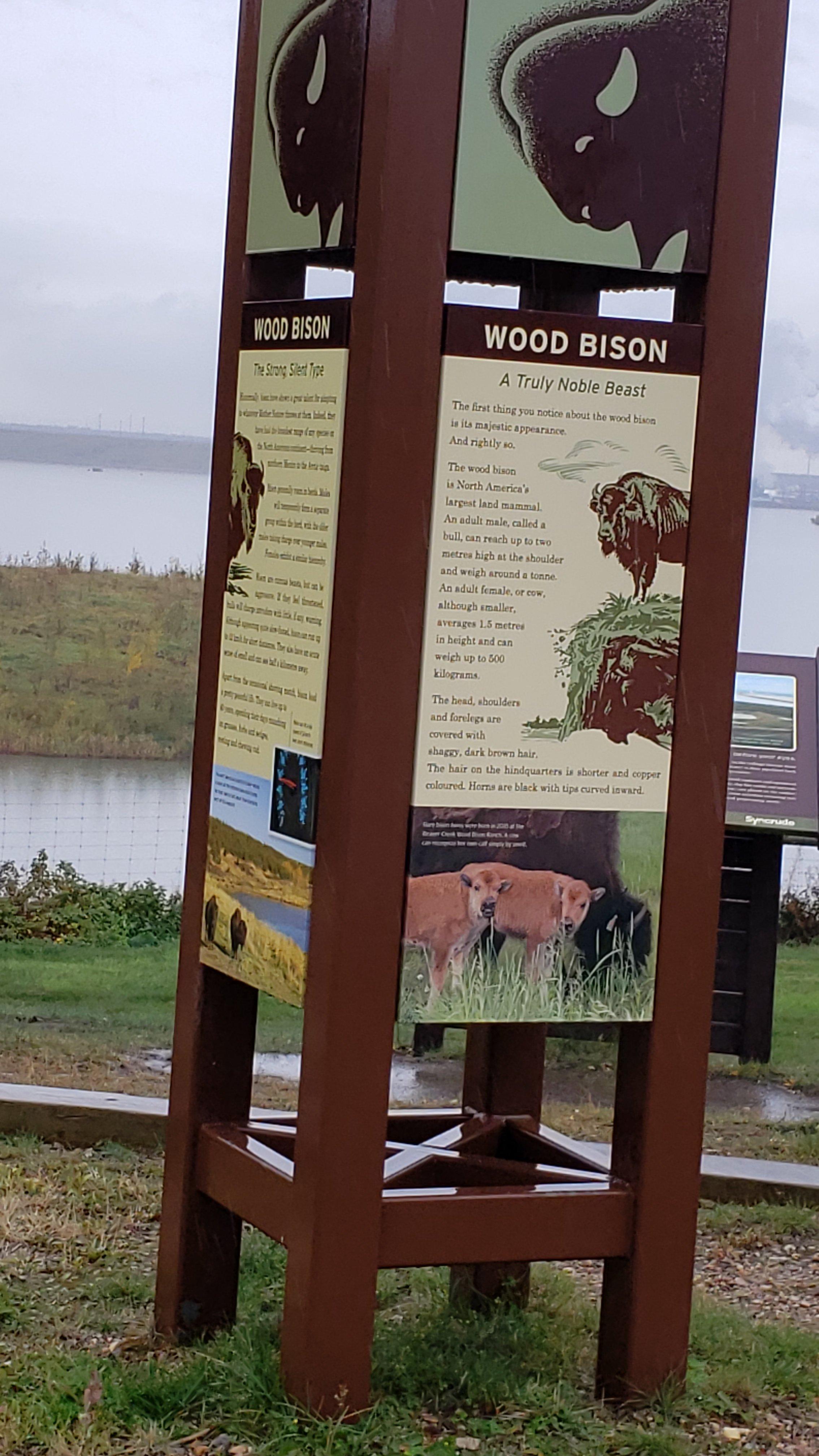 The Wood Buffalo Viewing Point and Bison Sanctuary