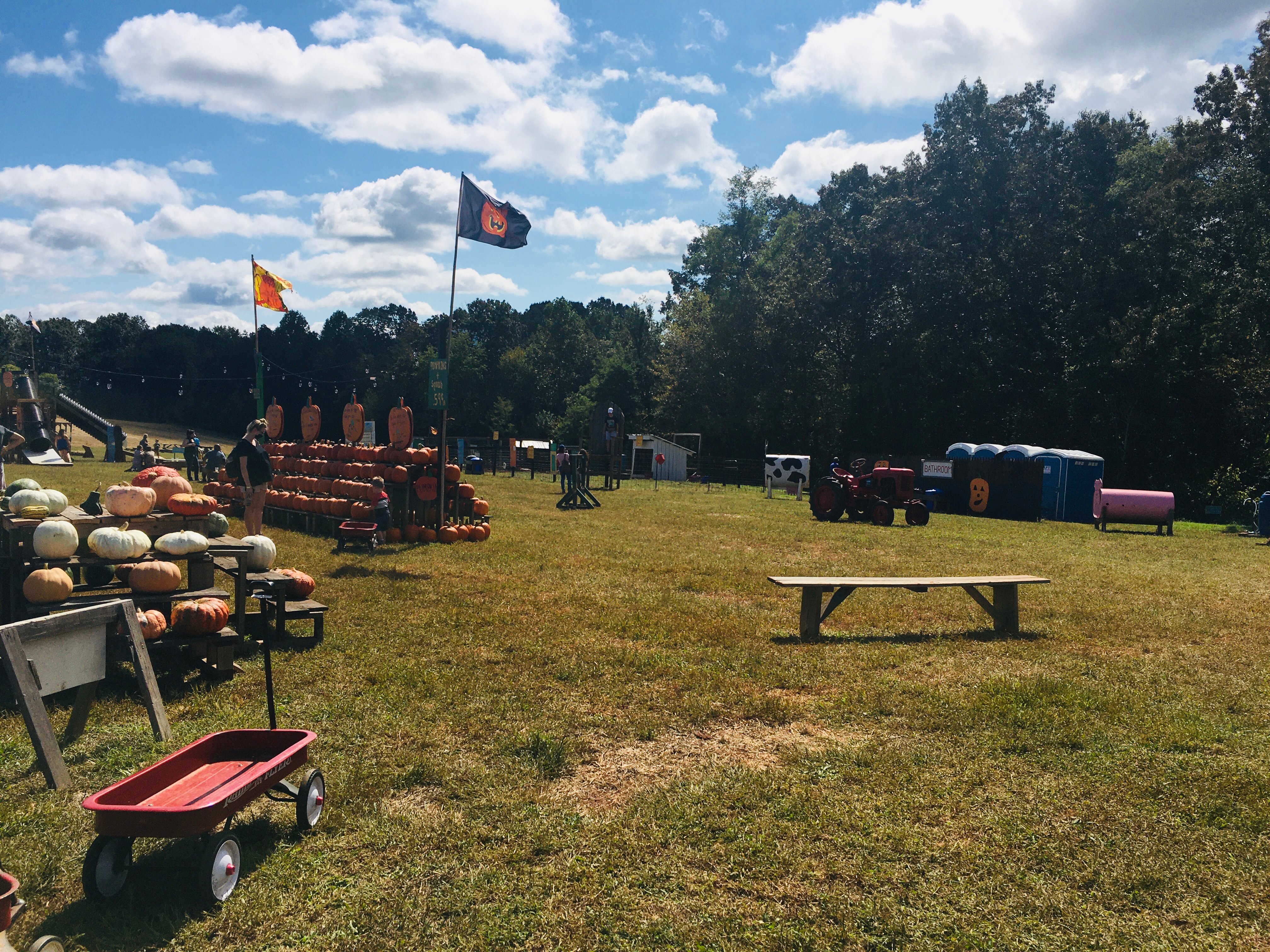 Blue Ridge Mountain MAze