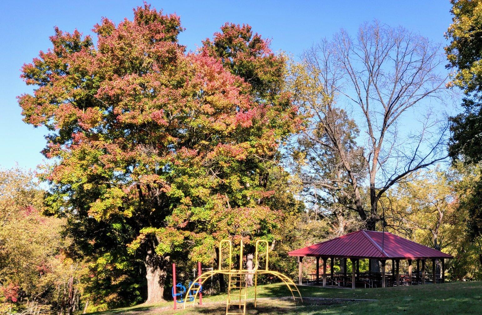 Zelienople Community Park