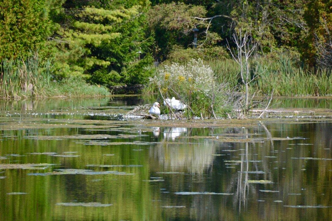 Nawautin Nature Sanctuary