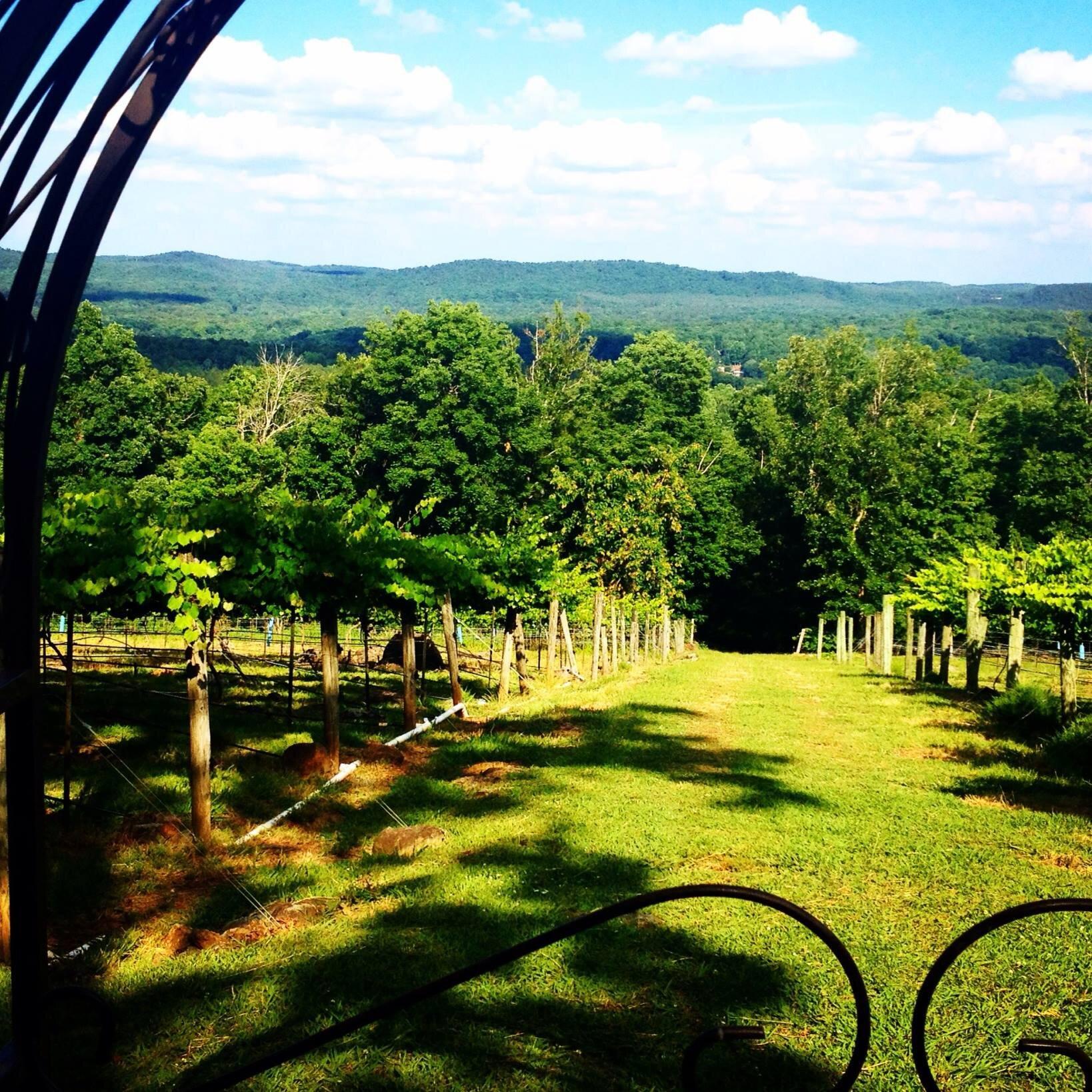 Stony Mountain Vineyards