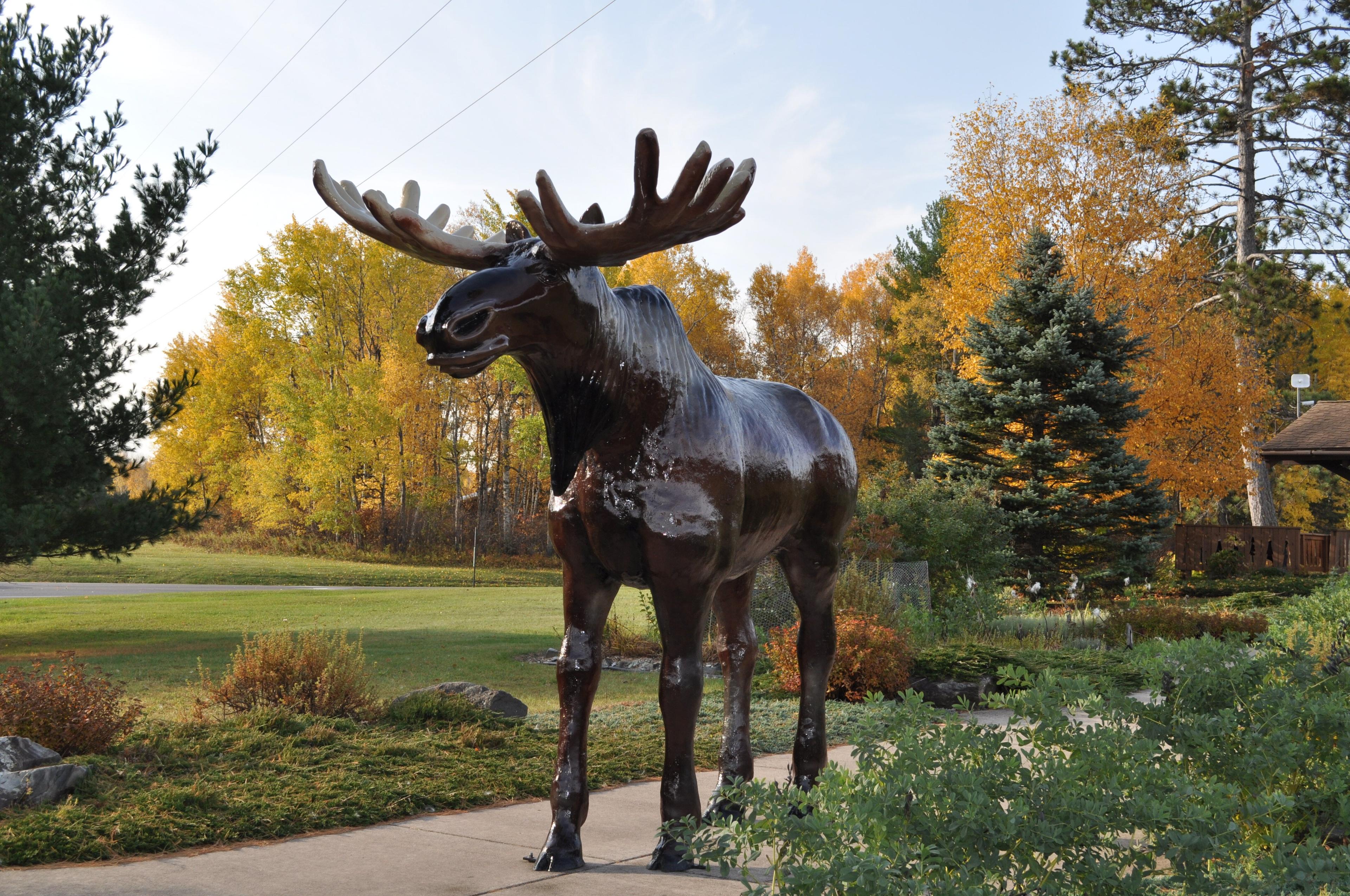 Moose Lake Chamber Of Commerce