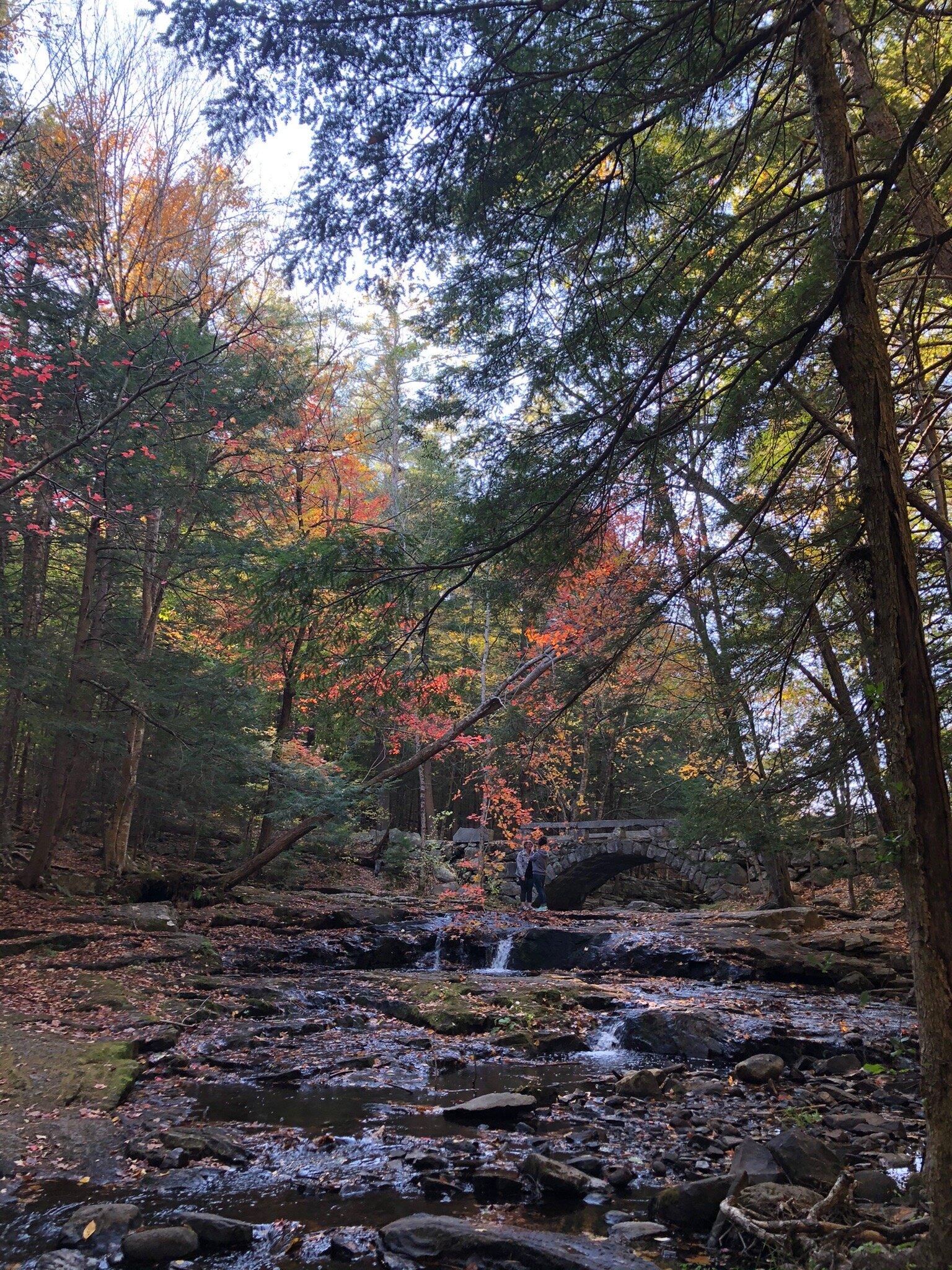 Vaughn Woods & Historic Homestead