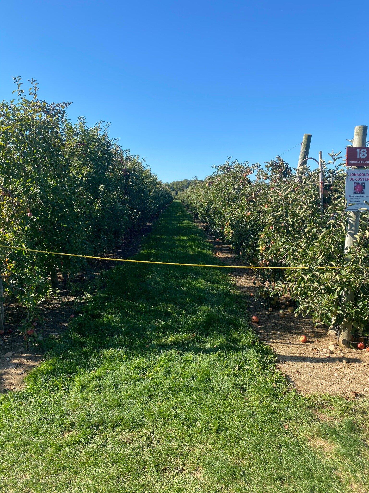 Harbes Orchard