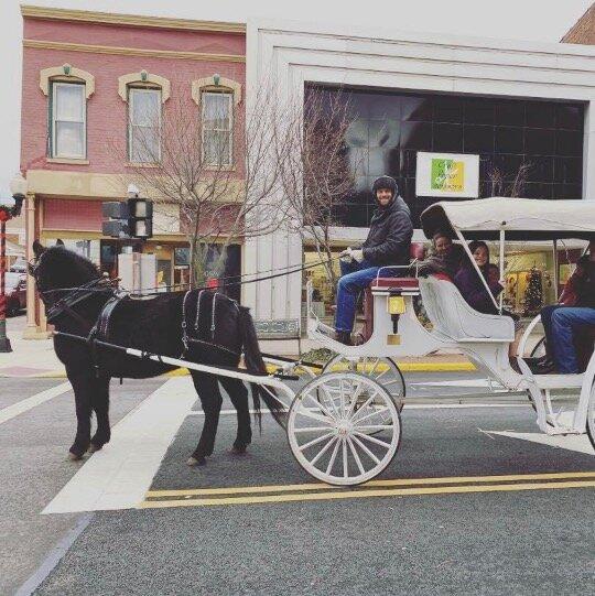 Heritage Horse & Carriage Co.