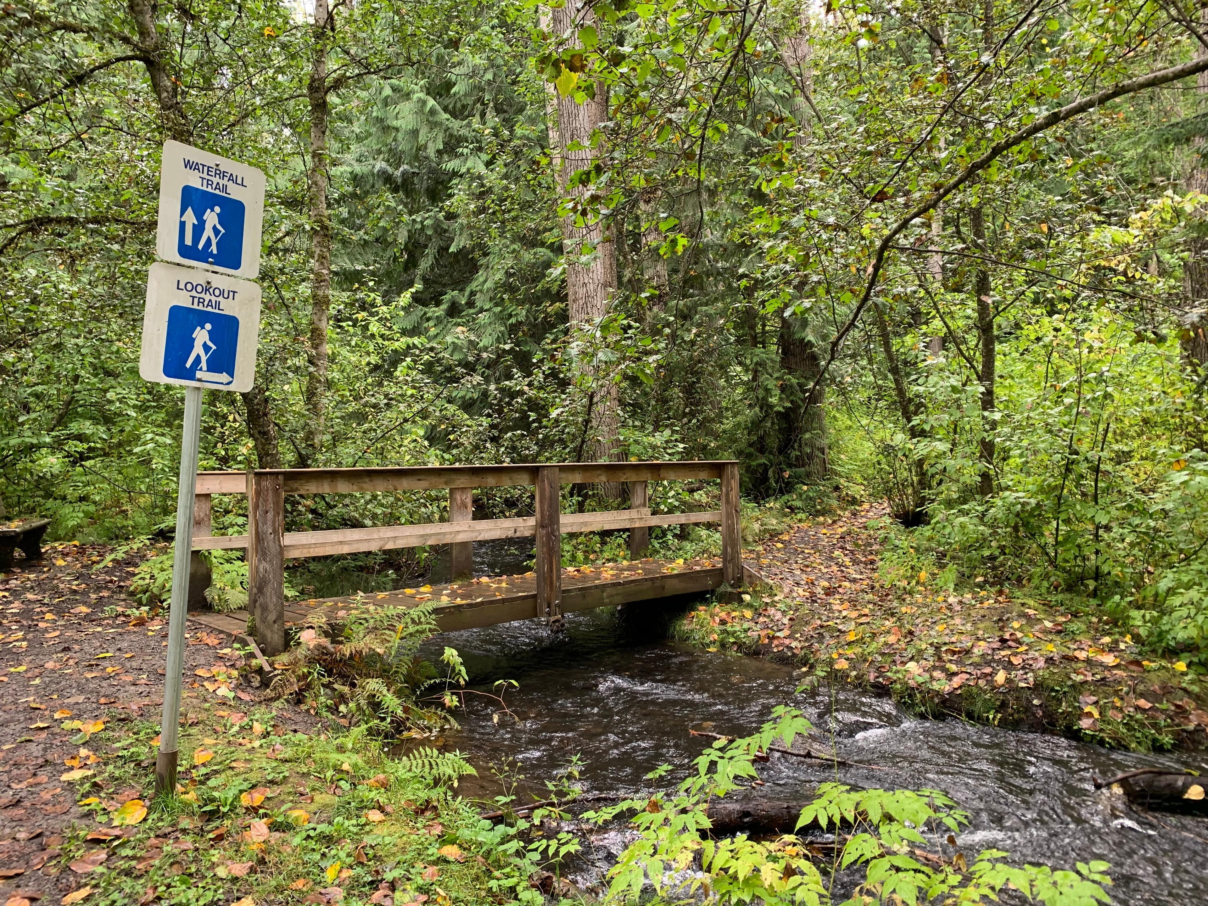 New Hazelton Lookout and Waterfall Trail