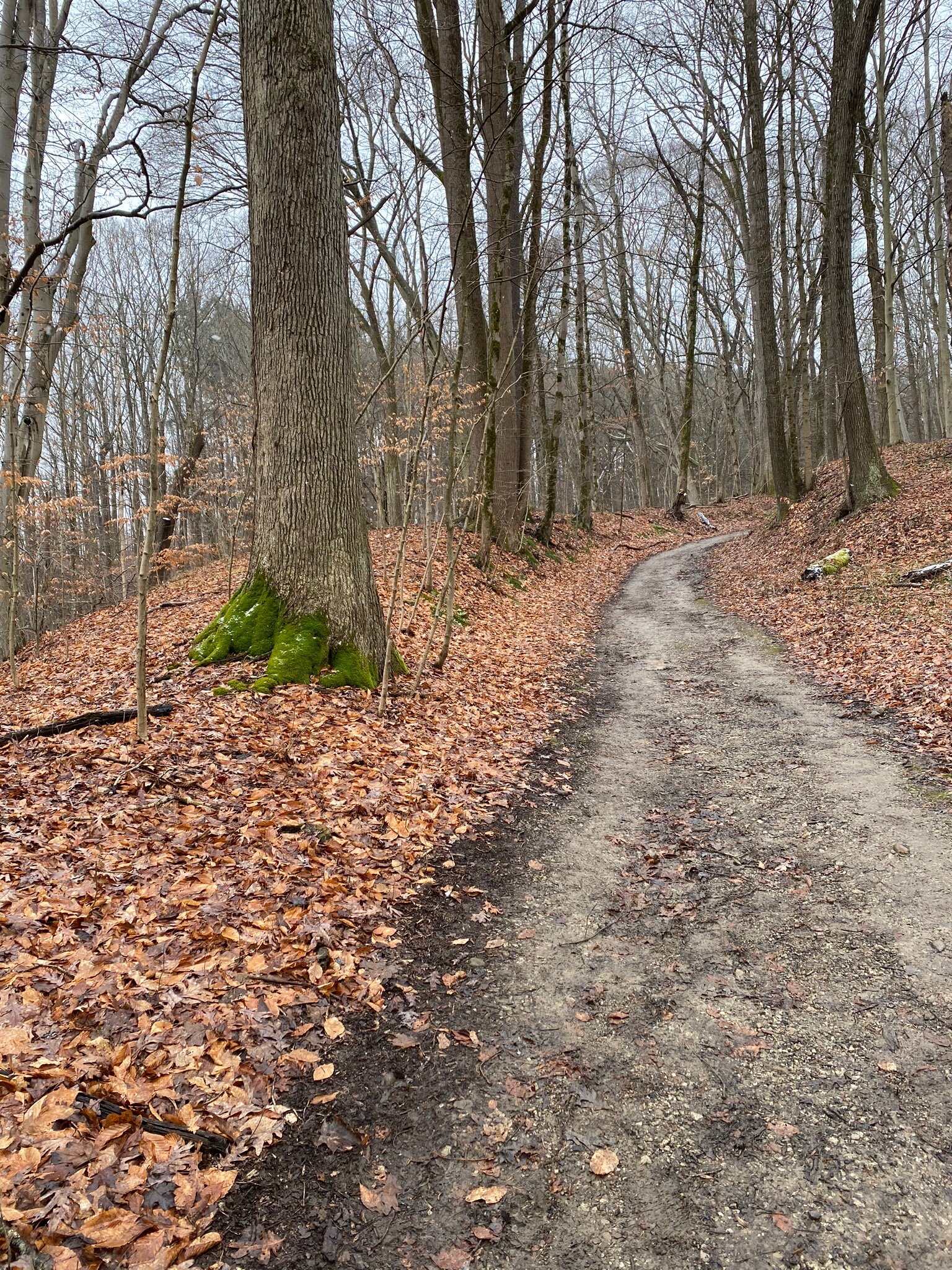 Riding Run Bridle Trail