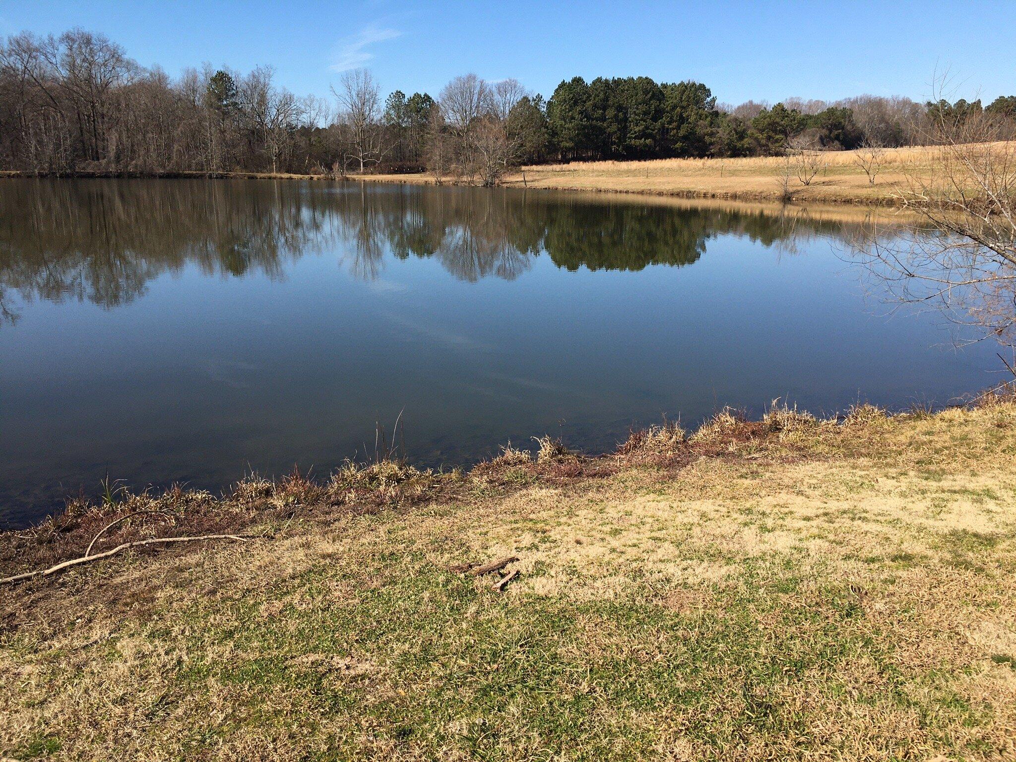 Lamar Murphy Park