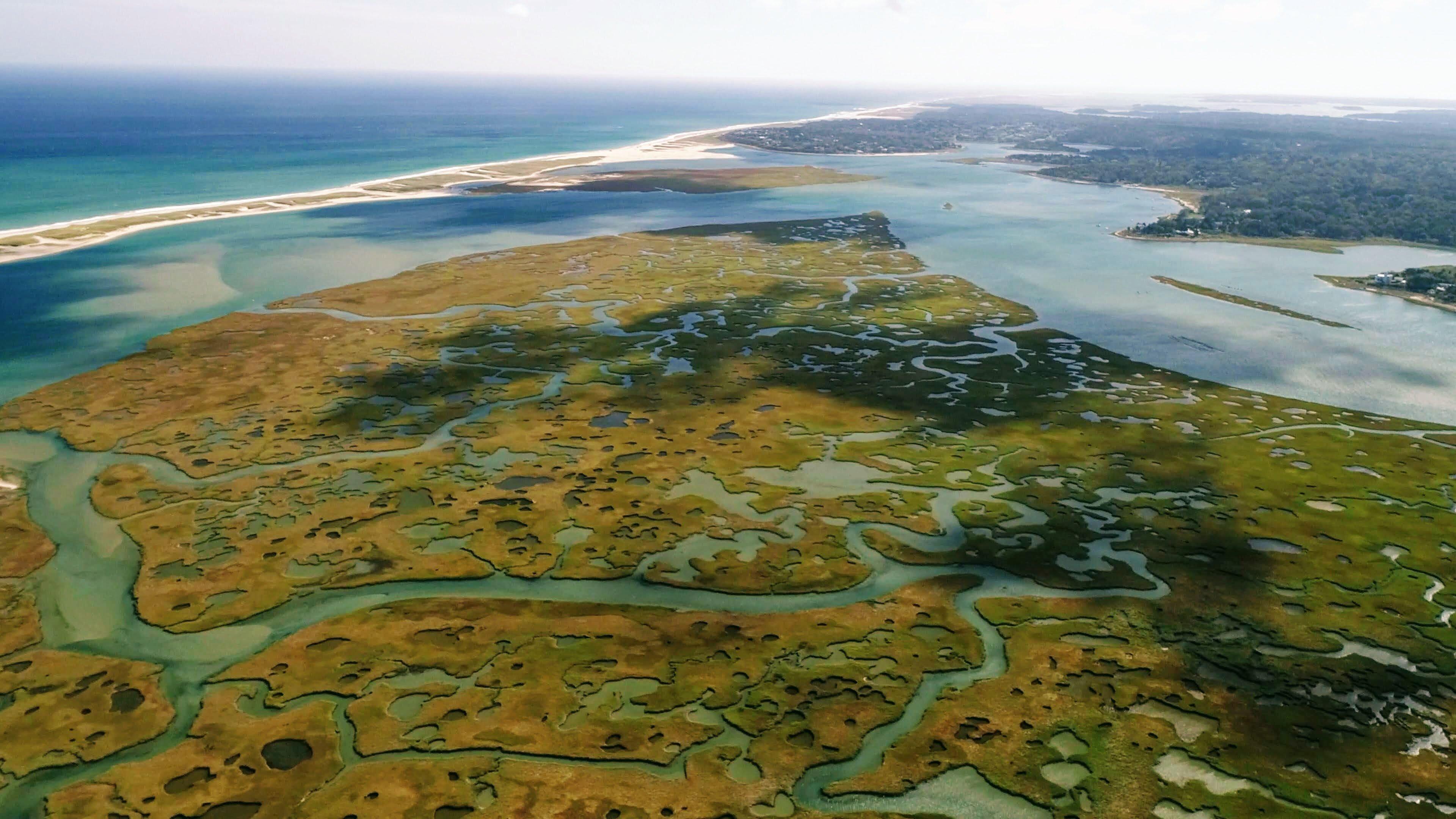 Great Marsh Kayak Tours