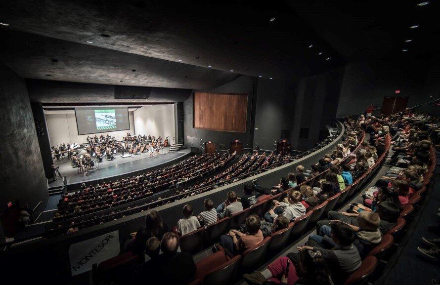 Flagstaff Symphony Orchestra