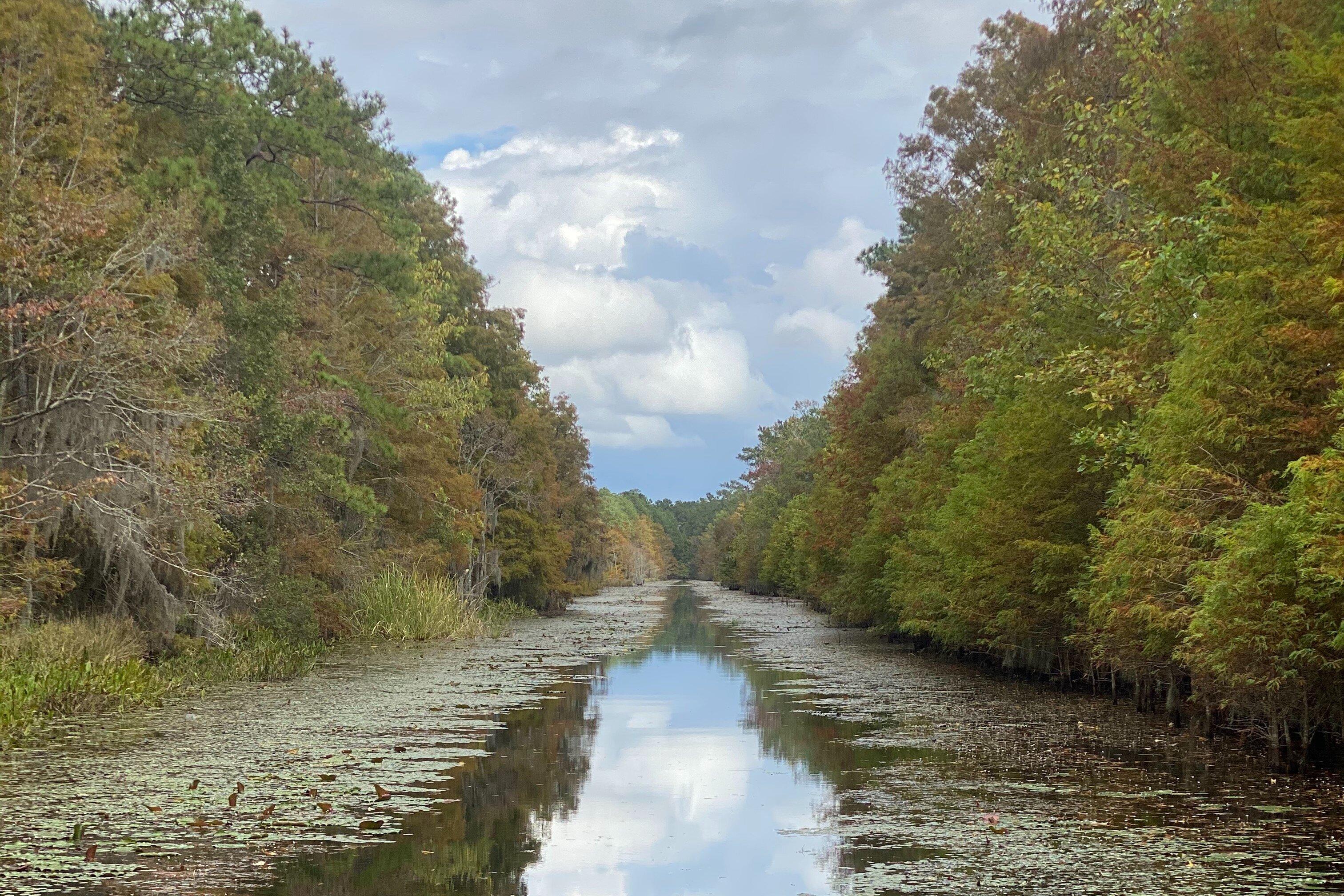 Lake Moultrie Kayak Tours and Rentals