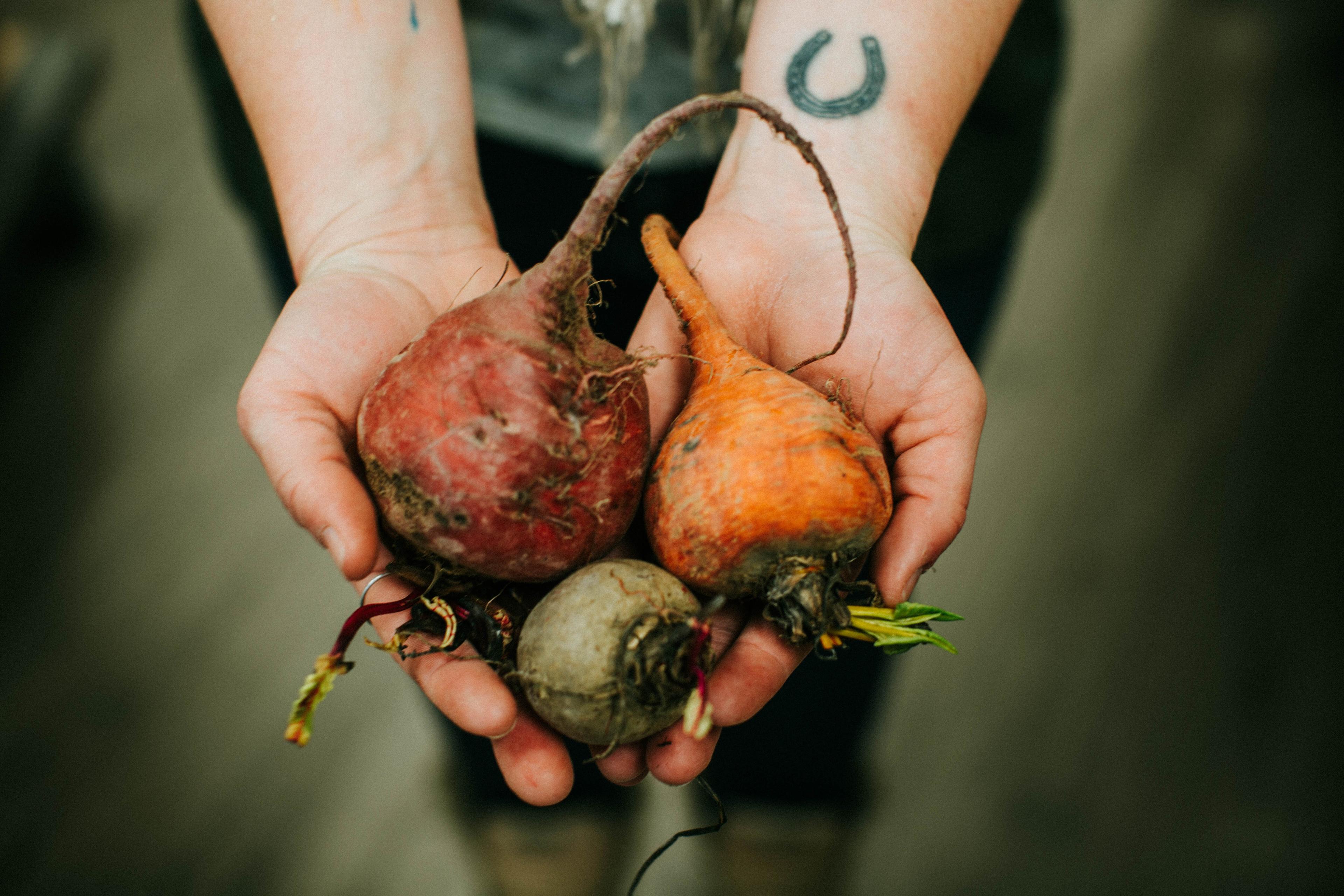 The Roaming Root Cellar